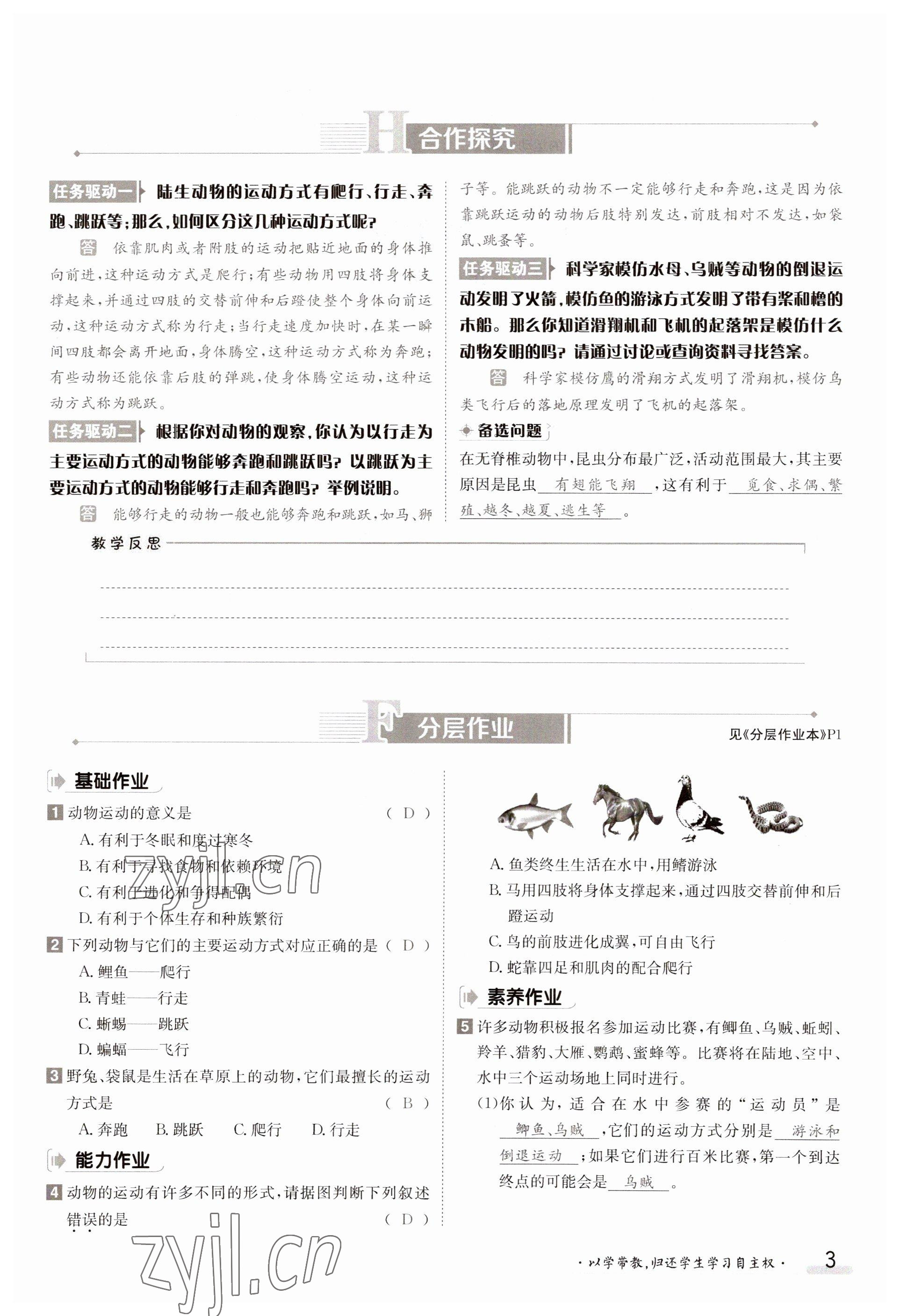 2023年金太阳导学案八年级生物上册北师大版 参考答案第3页