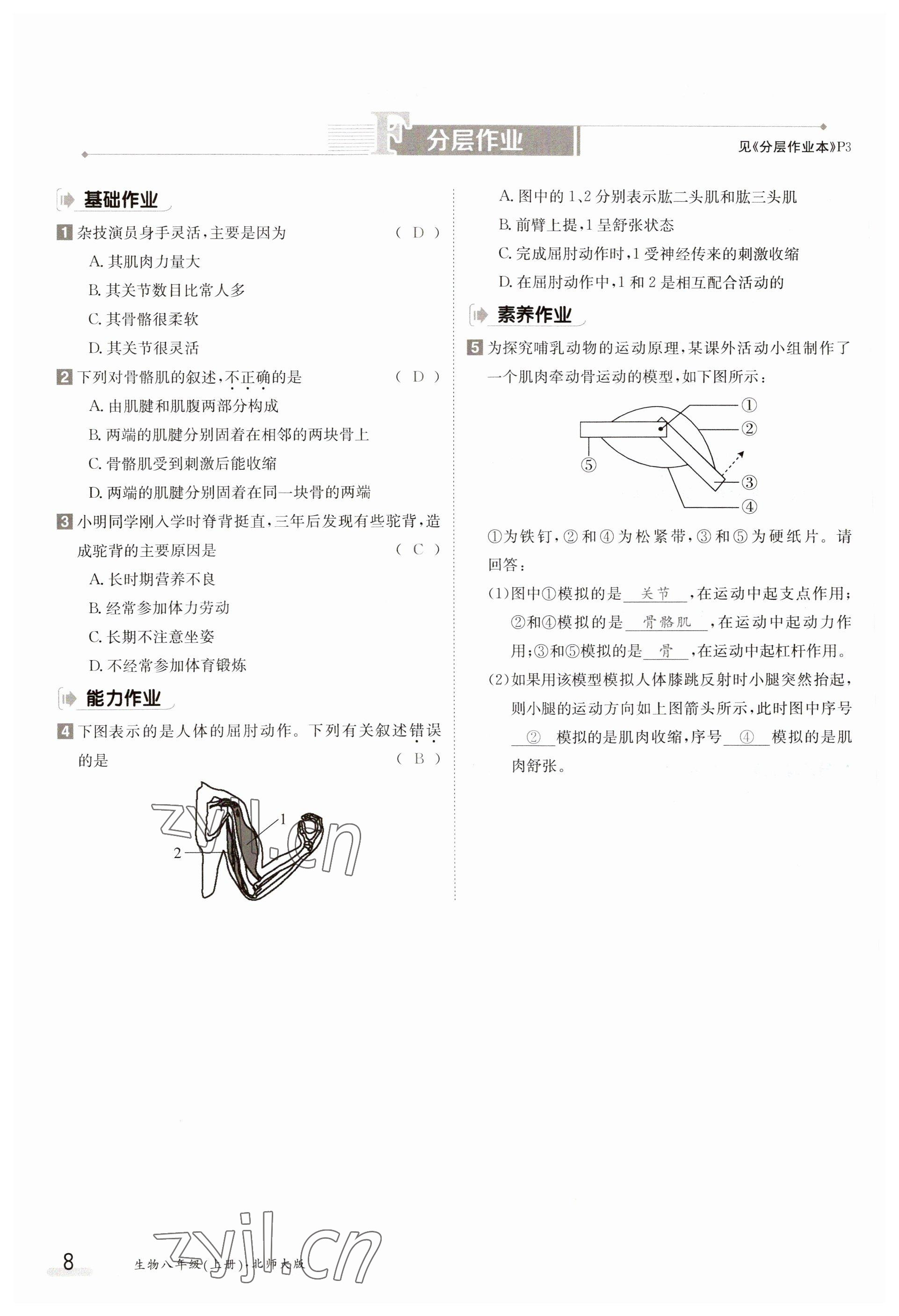 2023年金太陽導(dǎo)學(xué)案八年級(jí)生物上冊(cè)北師大版 參考答案第8頁