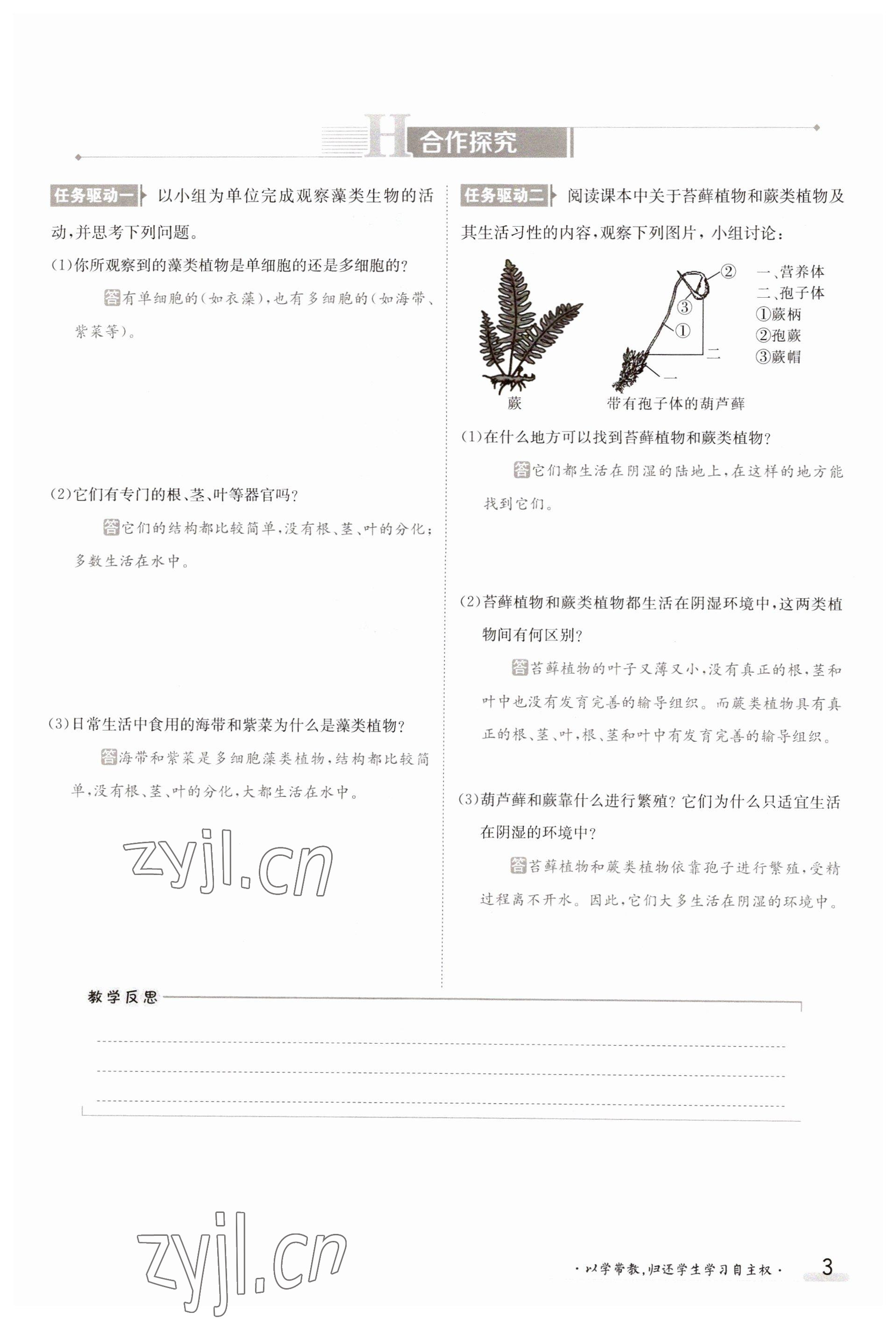 2023年金太陽導(dǎo)學(xué)案八年級生物上冊蘇教版 參考答案第3頁