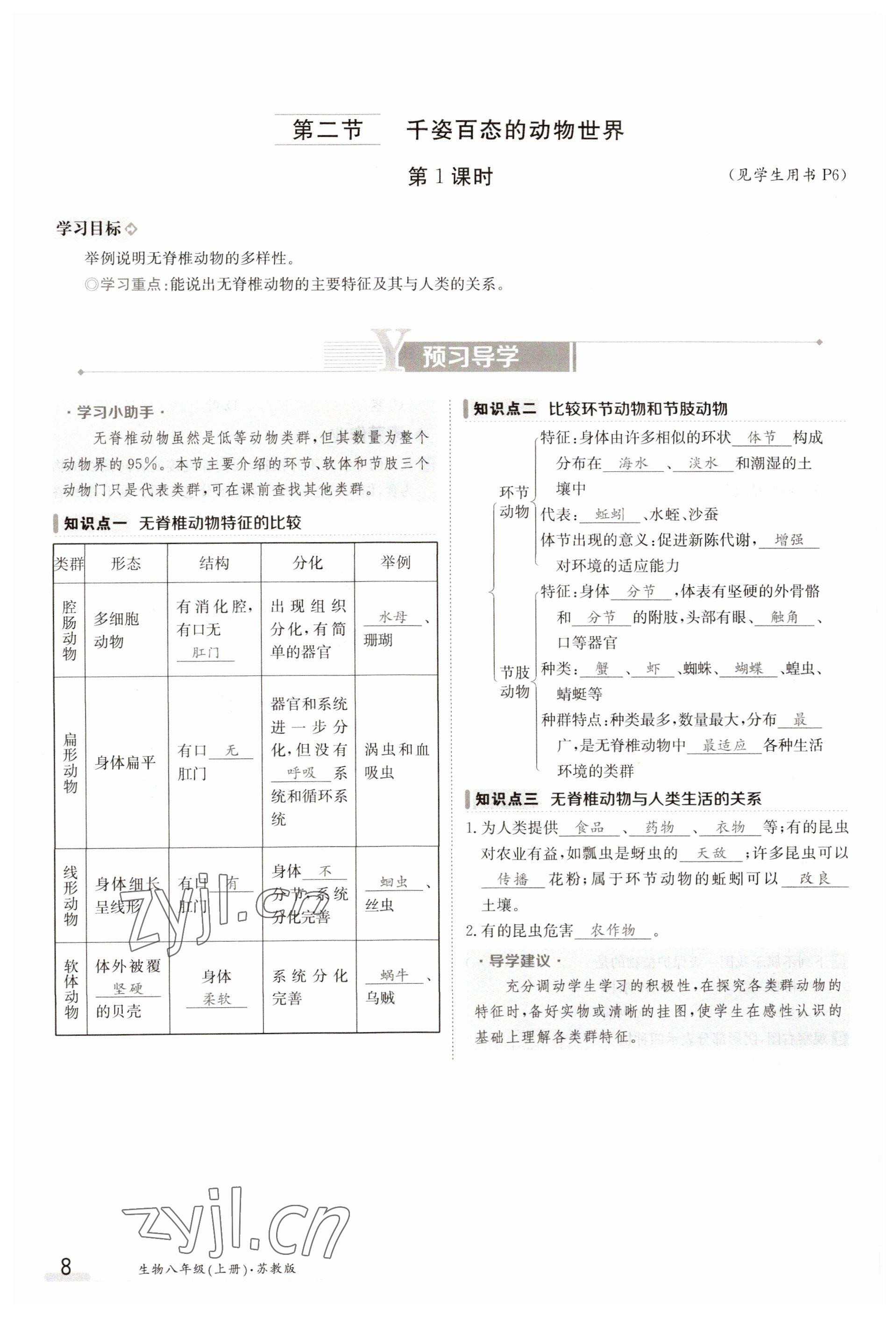 2023年金太陽導學案八年級生物上冊蘇教版 參考答案第8頁