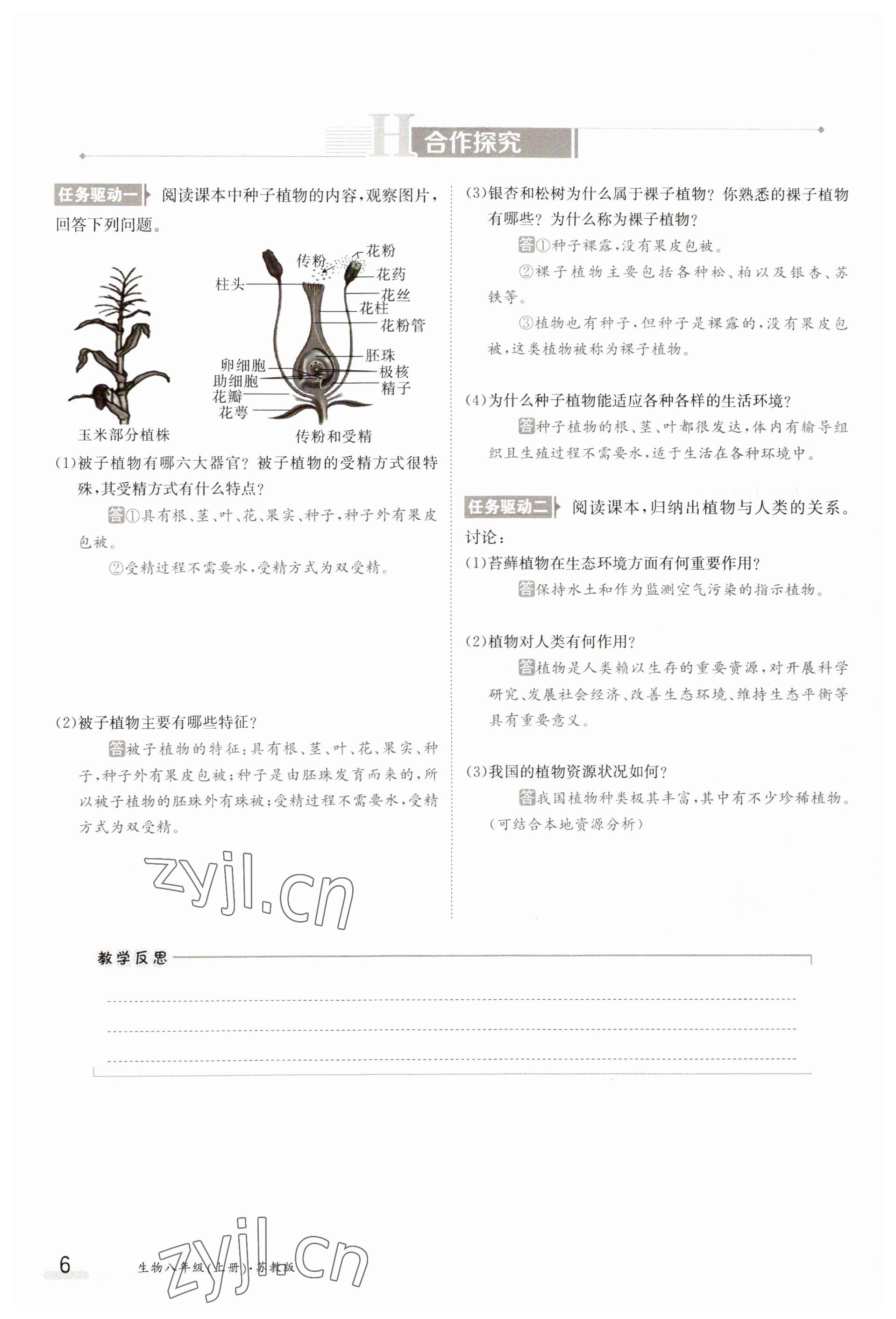 2023年金太陽導(dǎo)學(xué)案八年級生物上冊蘇教版 參考答案第6頁