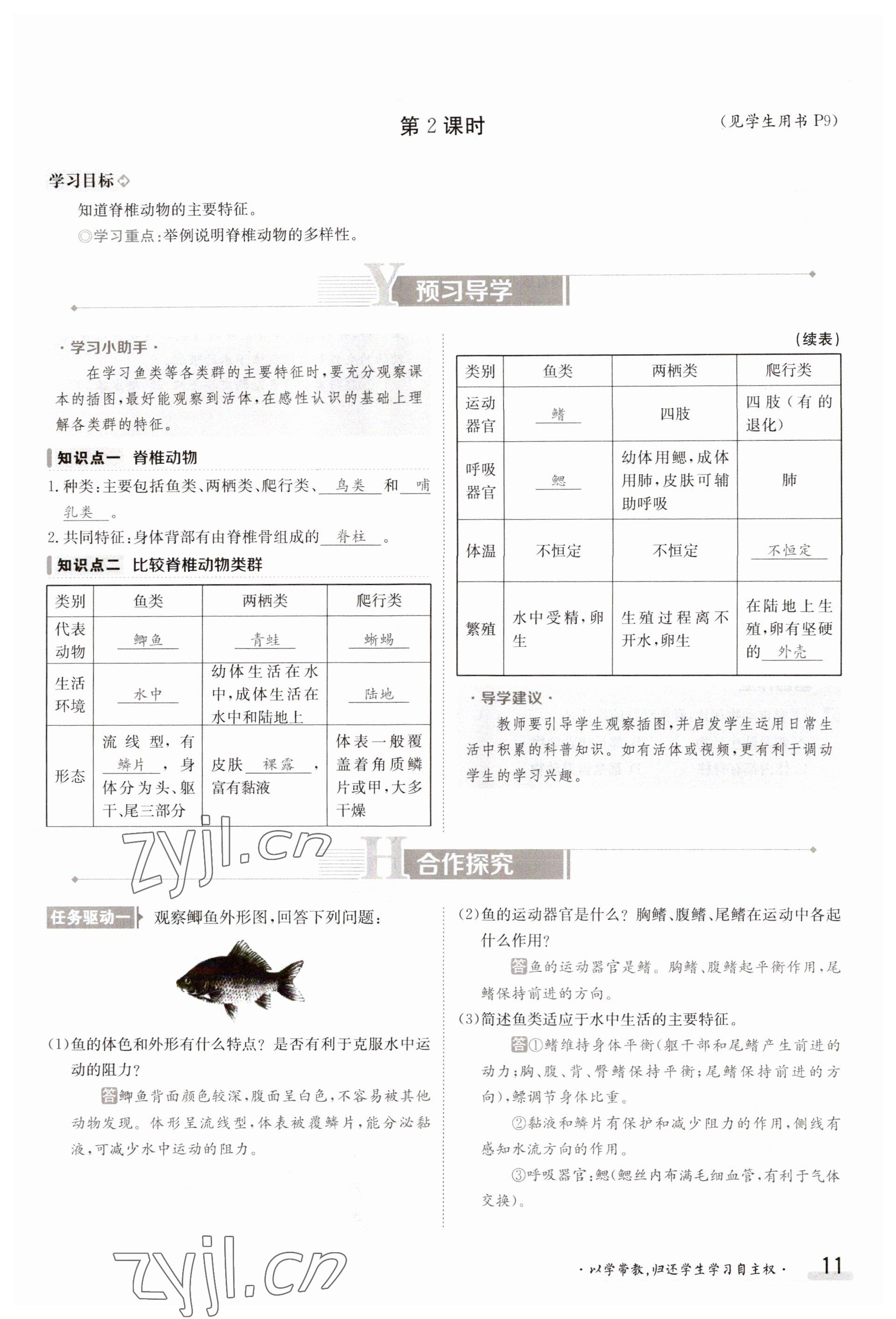 2023年金太陽(yáng)導(dǎo)學(xué)案八年級(jí)生物上冊(cè)蘇教版 參考答案第11頁(yè)