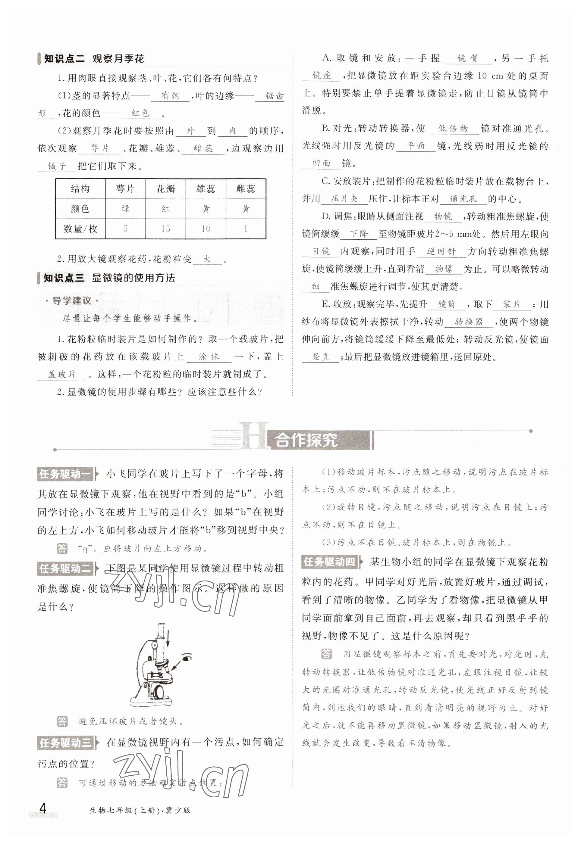 2023年金太陽(yáng)導(dǎo)學(xué)案七年級(jí)生物上冊(cè)冀少版 參考答案第4頁(yè)