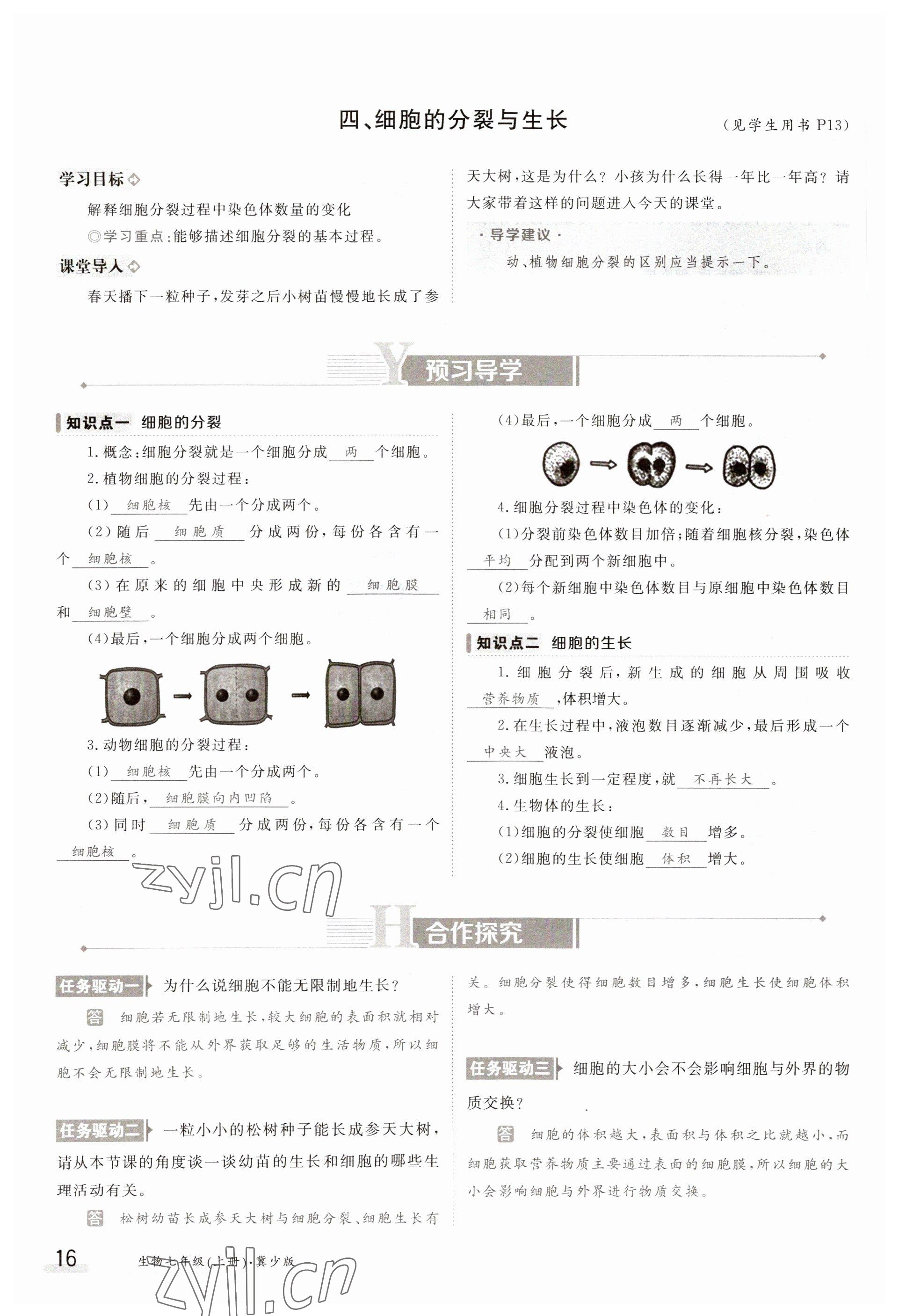 2023年金太阳导学案七年级生物上册冀少版 参考答案第16页