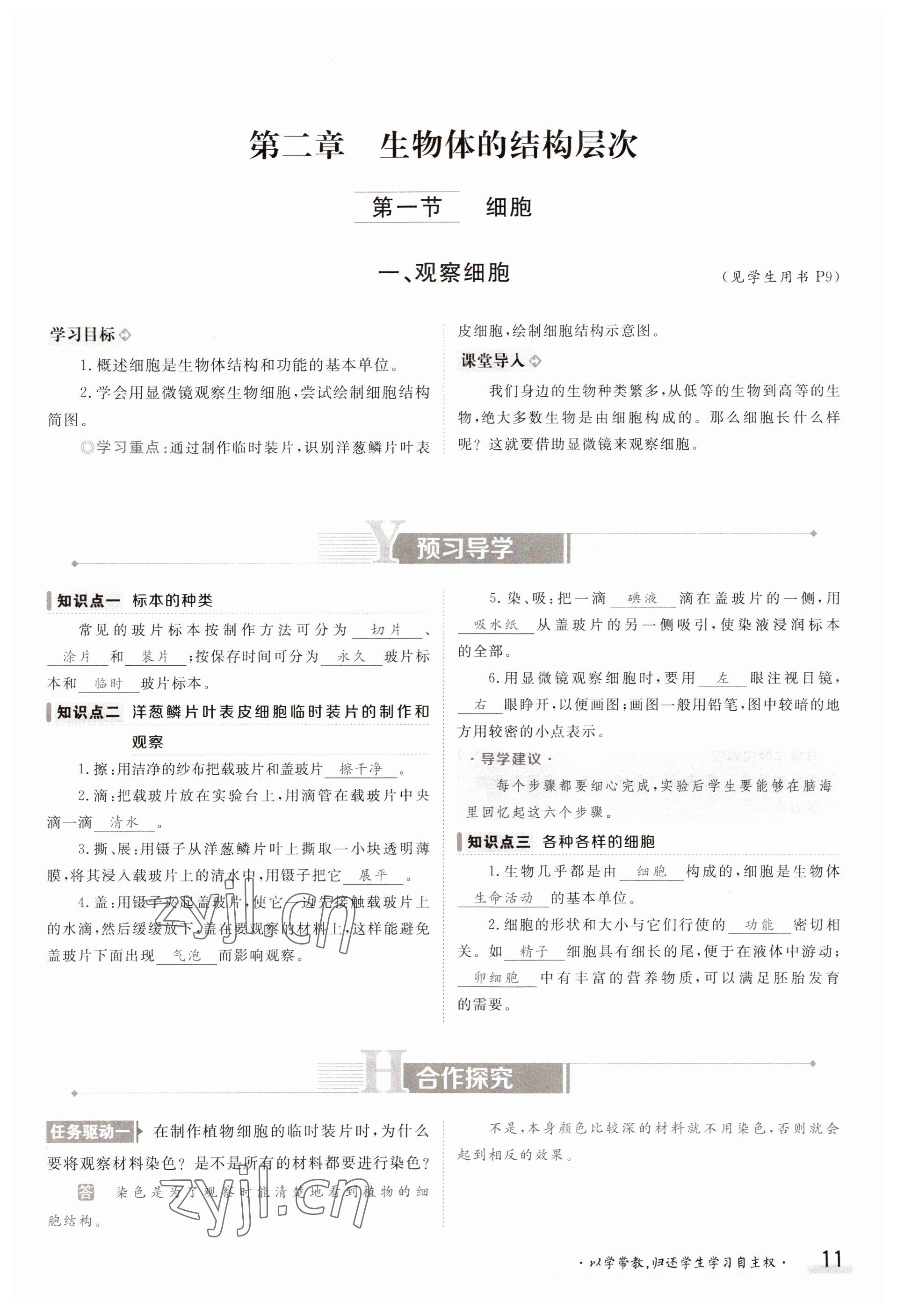 2023年金太陽導(dǎo)學(xué)案七年級生物上冊冀少版 參考答案第11頁