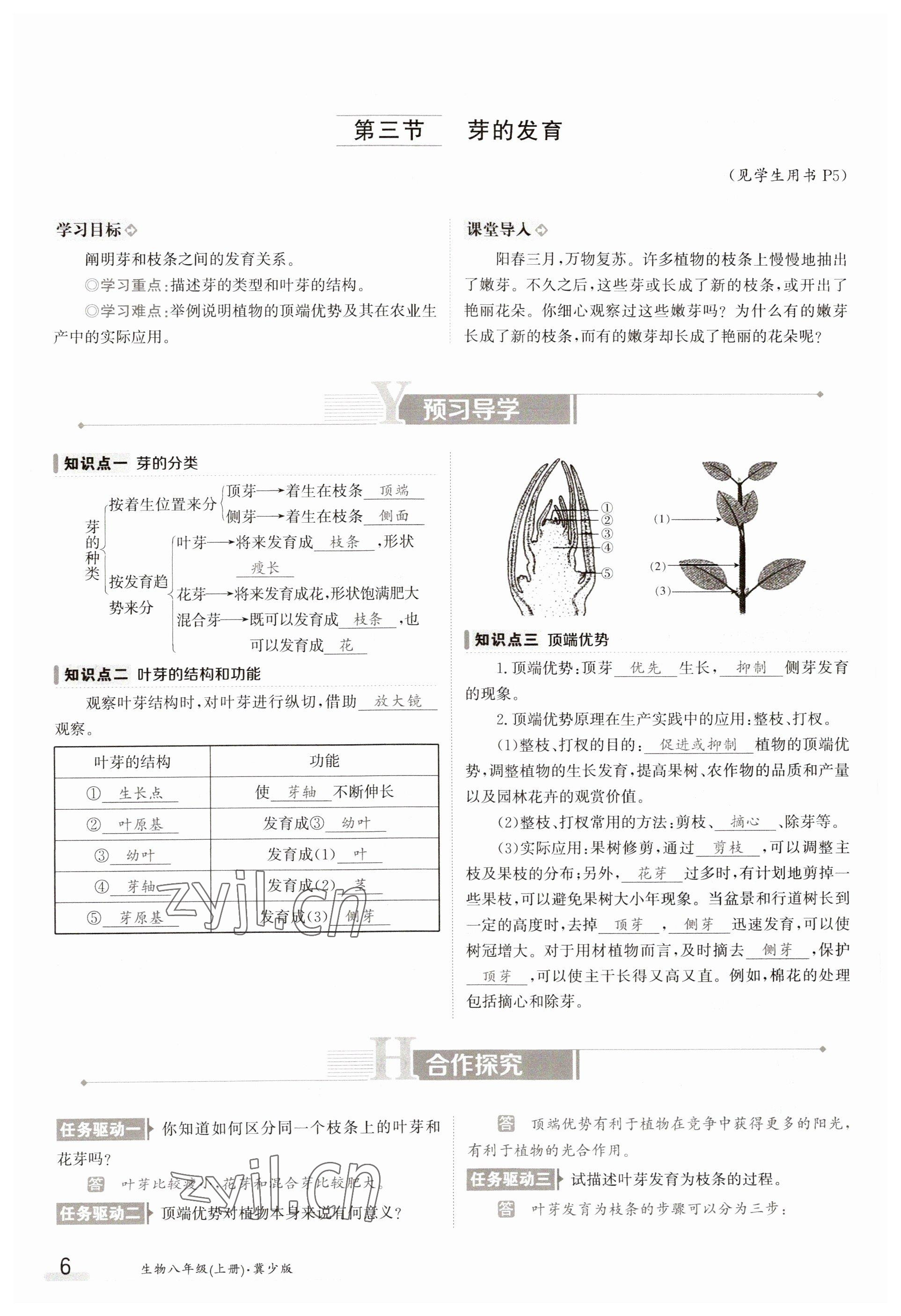 2023年金太陽導(dǎo)學(xué)案八年級(jí)生物上冊(cè)冀少版 參考答案第6頁