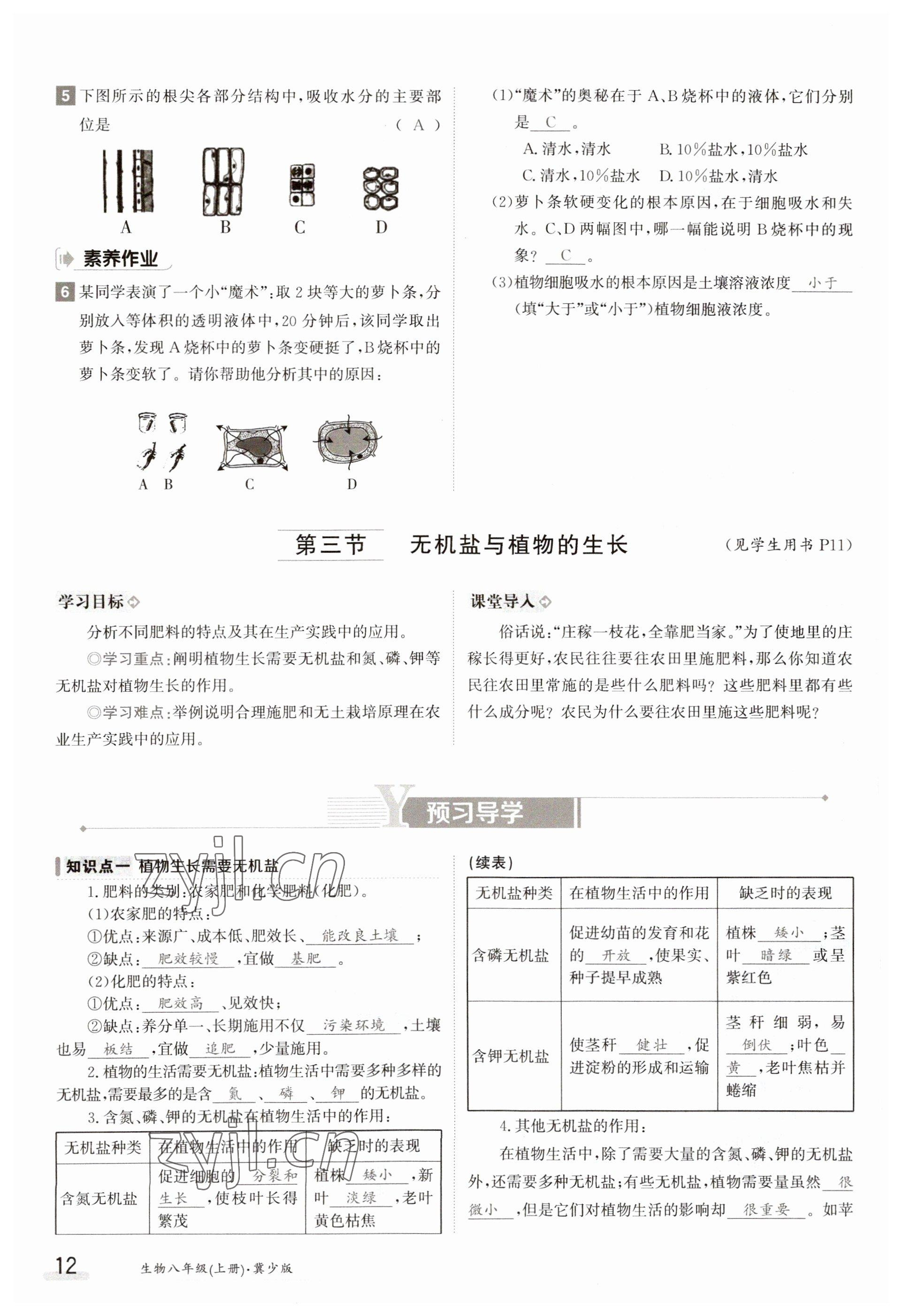 2023年金太陽導學案八年級生物上冊冀少版 參考答案第12頁