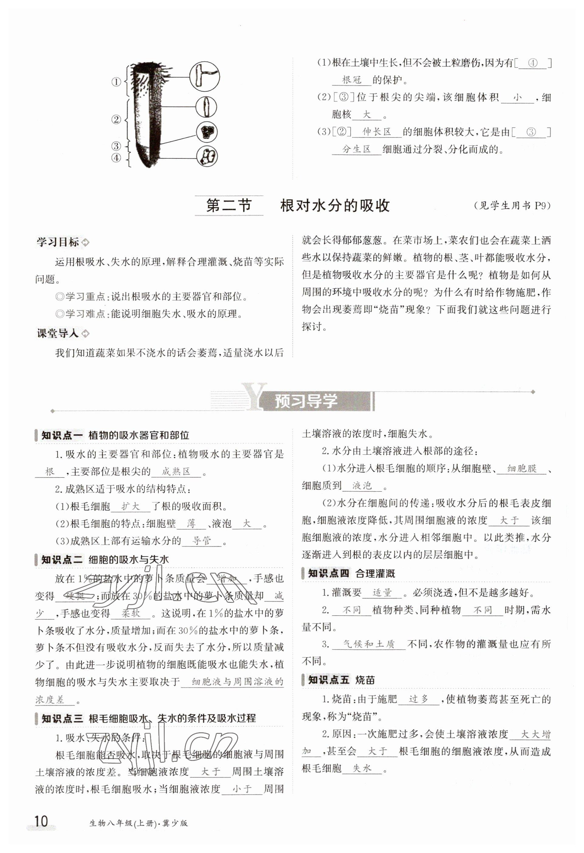 2023年金太陽導(dǎo)學(xué)案八年級生物上冊冀少版 參考答案第10頁