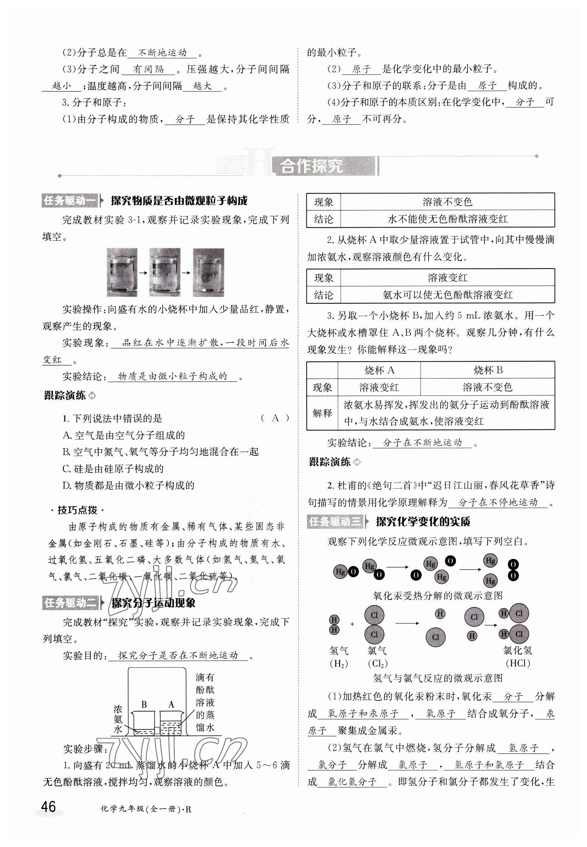 2023年金太阳导学案九年级化学全一册人教版 参考答案第46页