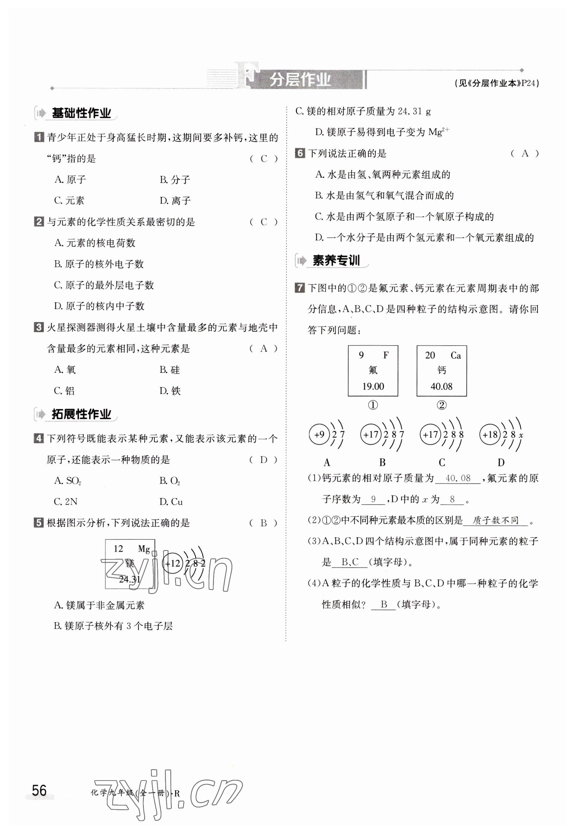 2023年金太阳导学案九年级化学全一册人教版 参考答案第56页