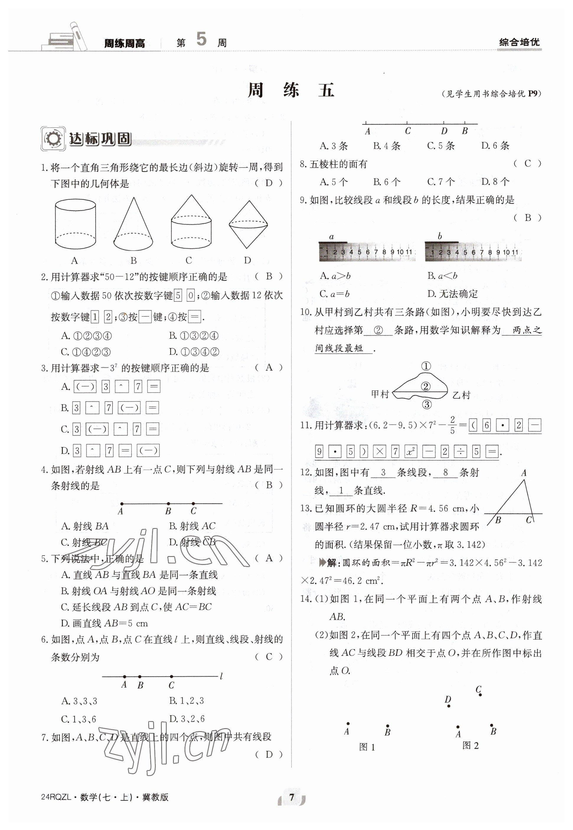 2023年日清周練七年級數(shù)學(xué)上冊冀教版 參考答案第7頁