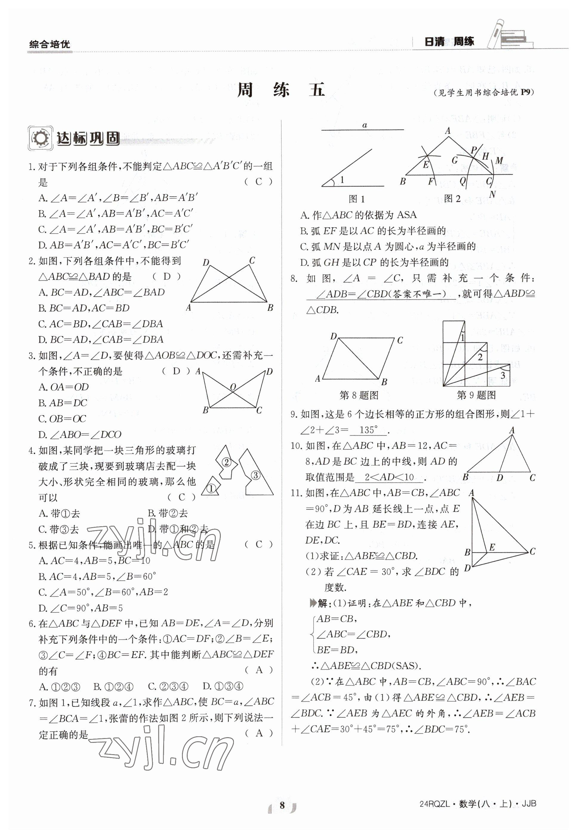 2023年日清周练八年级数学上册冀教版 参考答案第8页