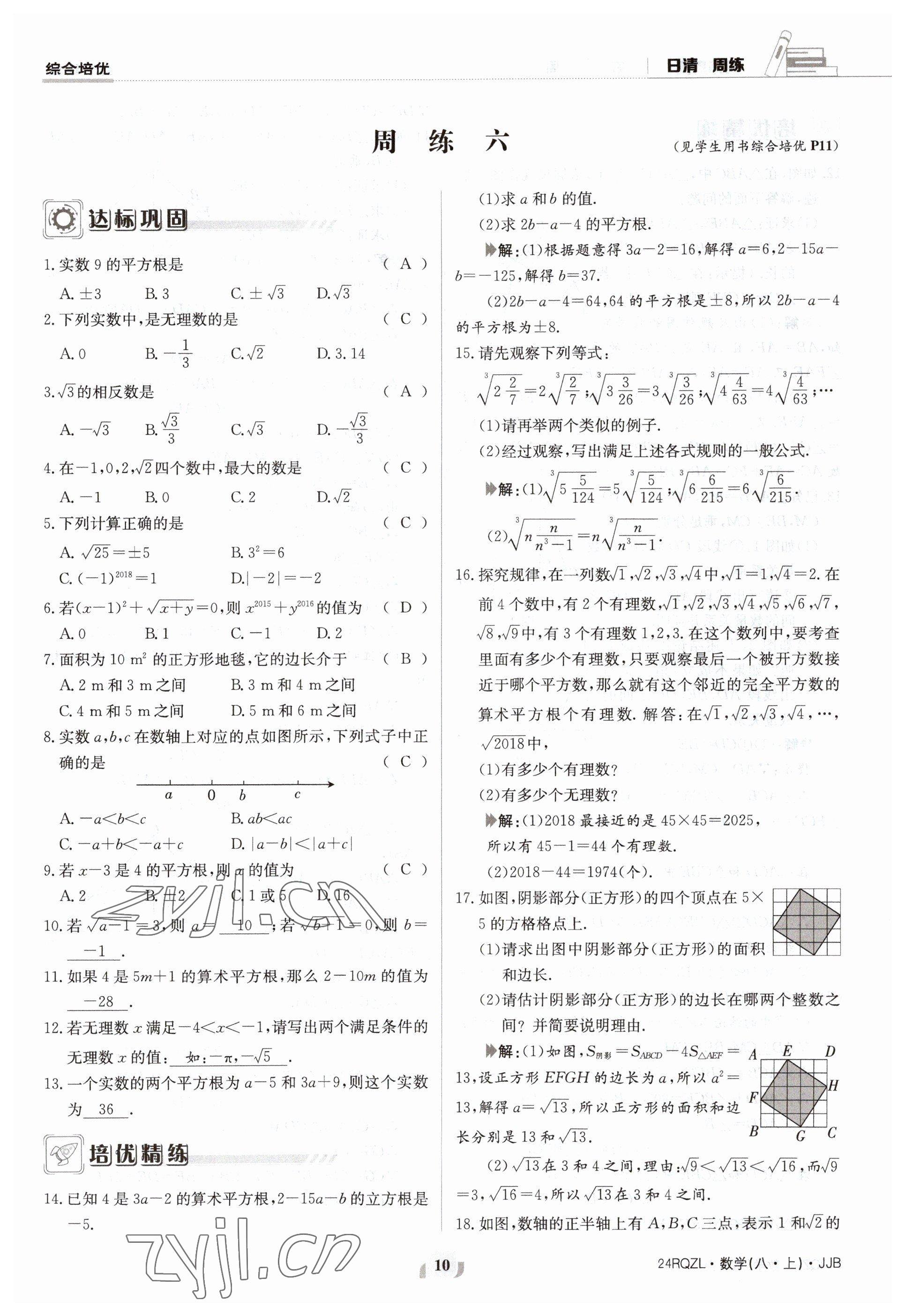 2023年日清周练八年级数学上册冀教版 参考答案第10页