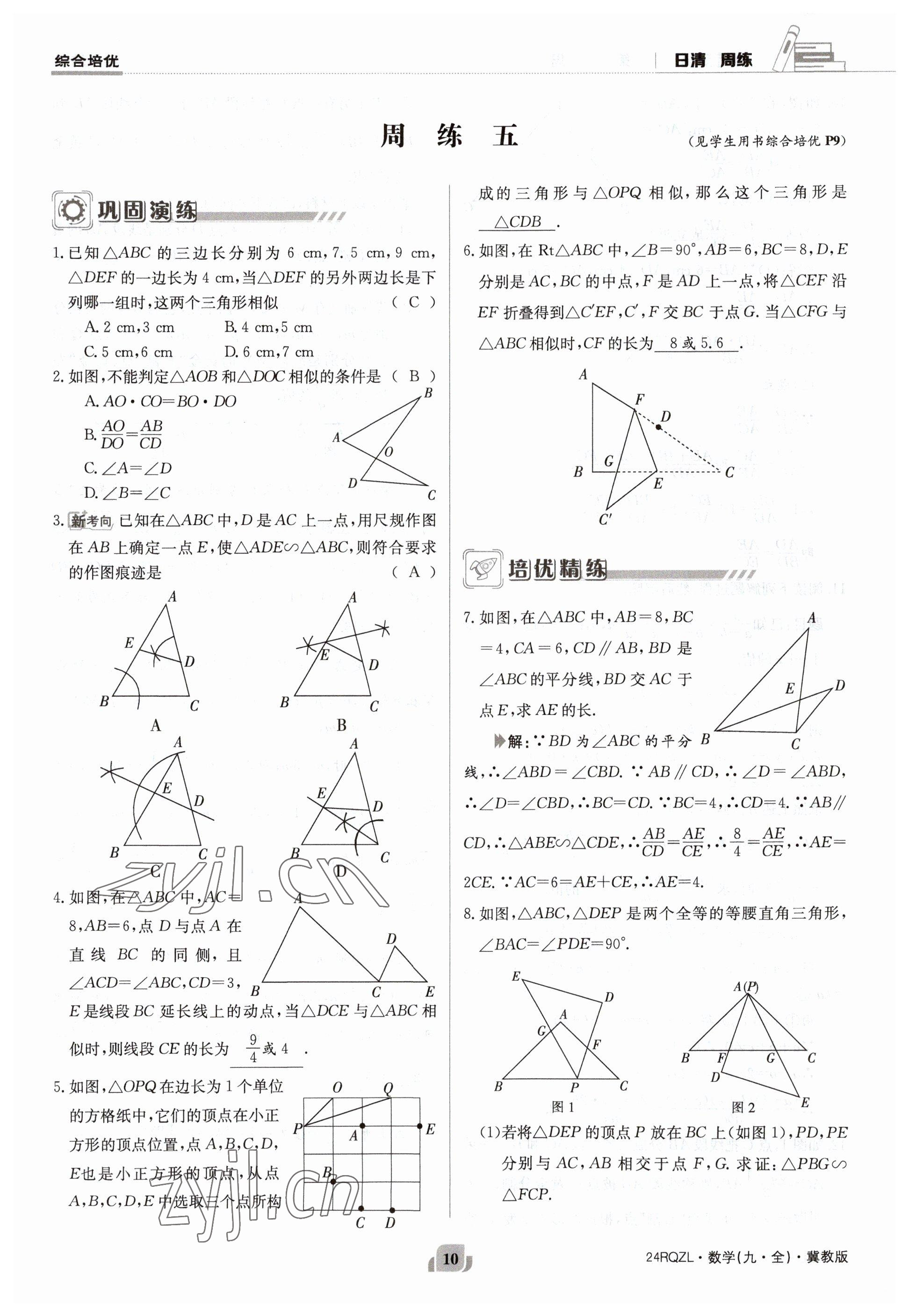 2023年日清周練九年級數(shù)學冀教版 參考答案第10頁