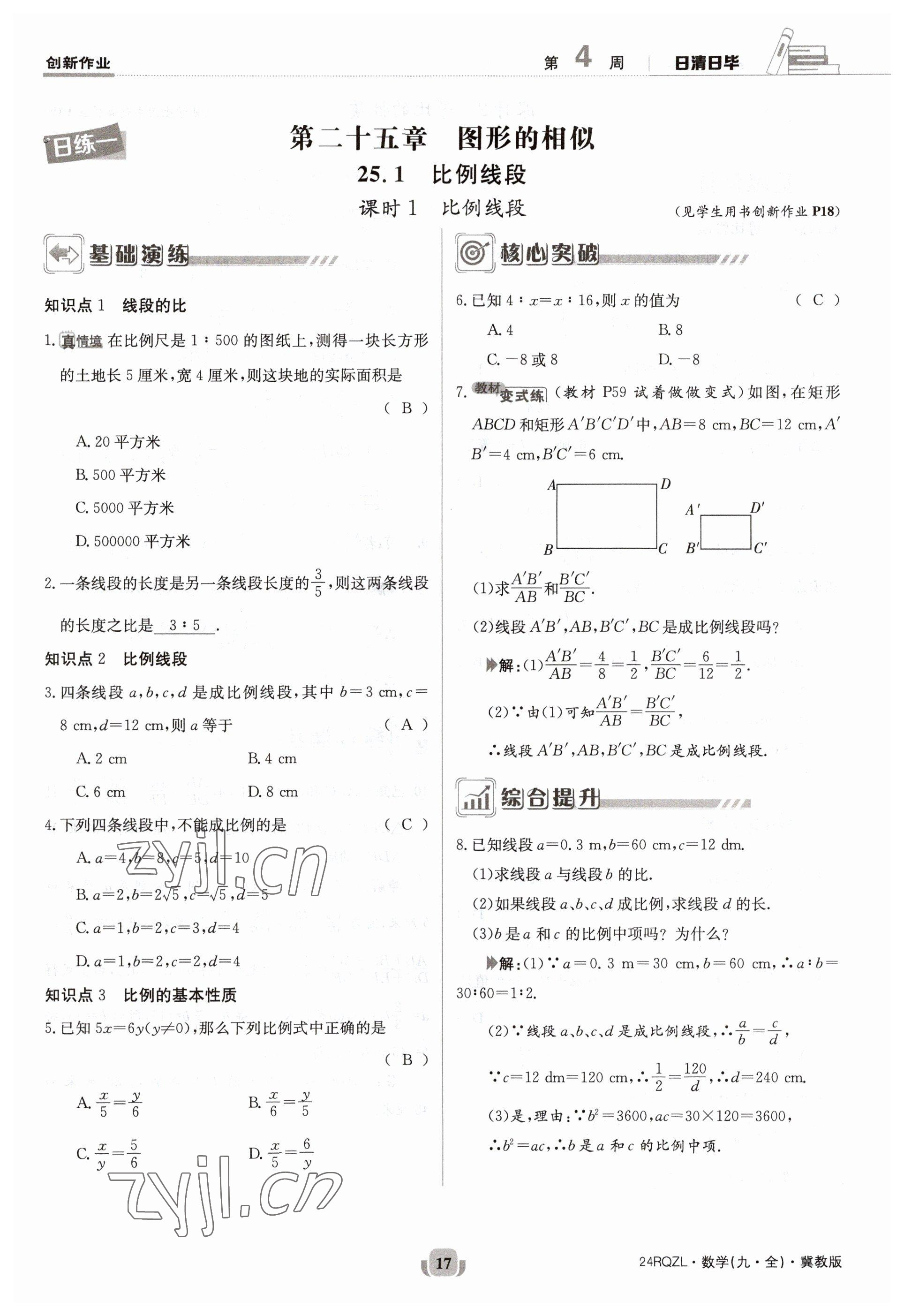 2023年日清周練九年級(jí)數(shù)學(xué)冀教版 參考答案第17頁(yè)