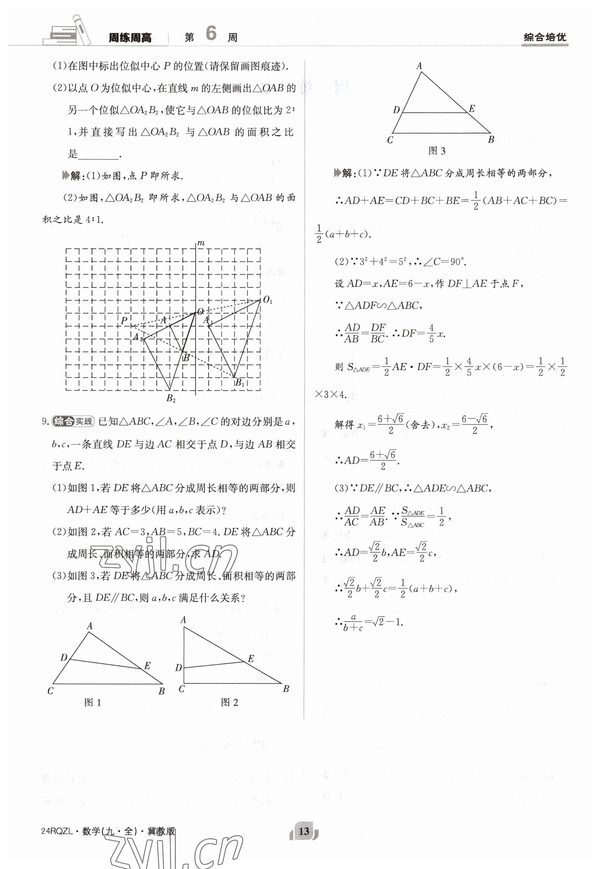 2023年日清周練九年級(jí)數(shù)學(xué)冀教版 參考答案第13頁(yè)