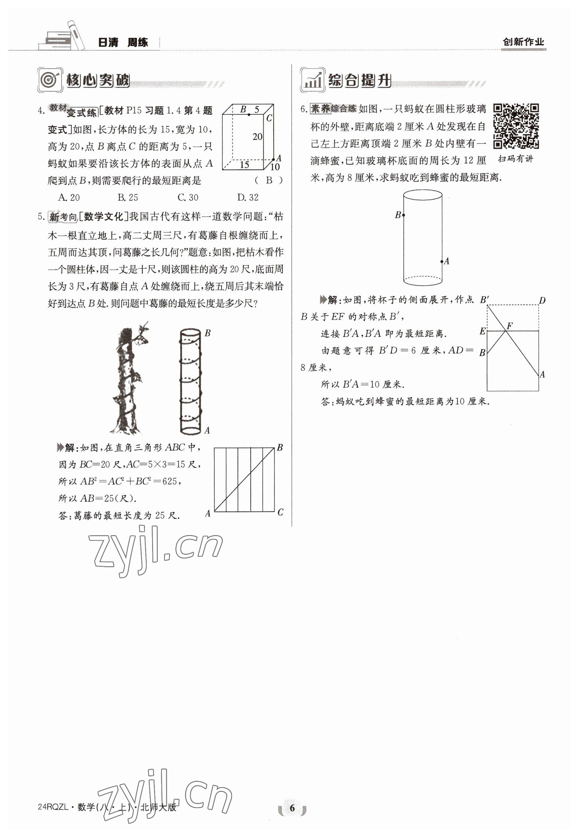 2023年日清周練八年級數(shù)學上冊北師大版 參考答案第6頁