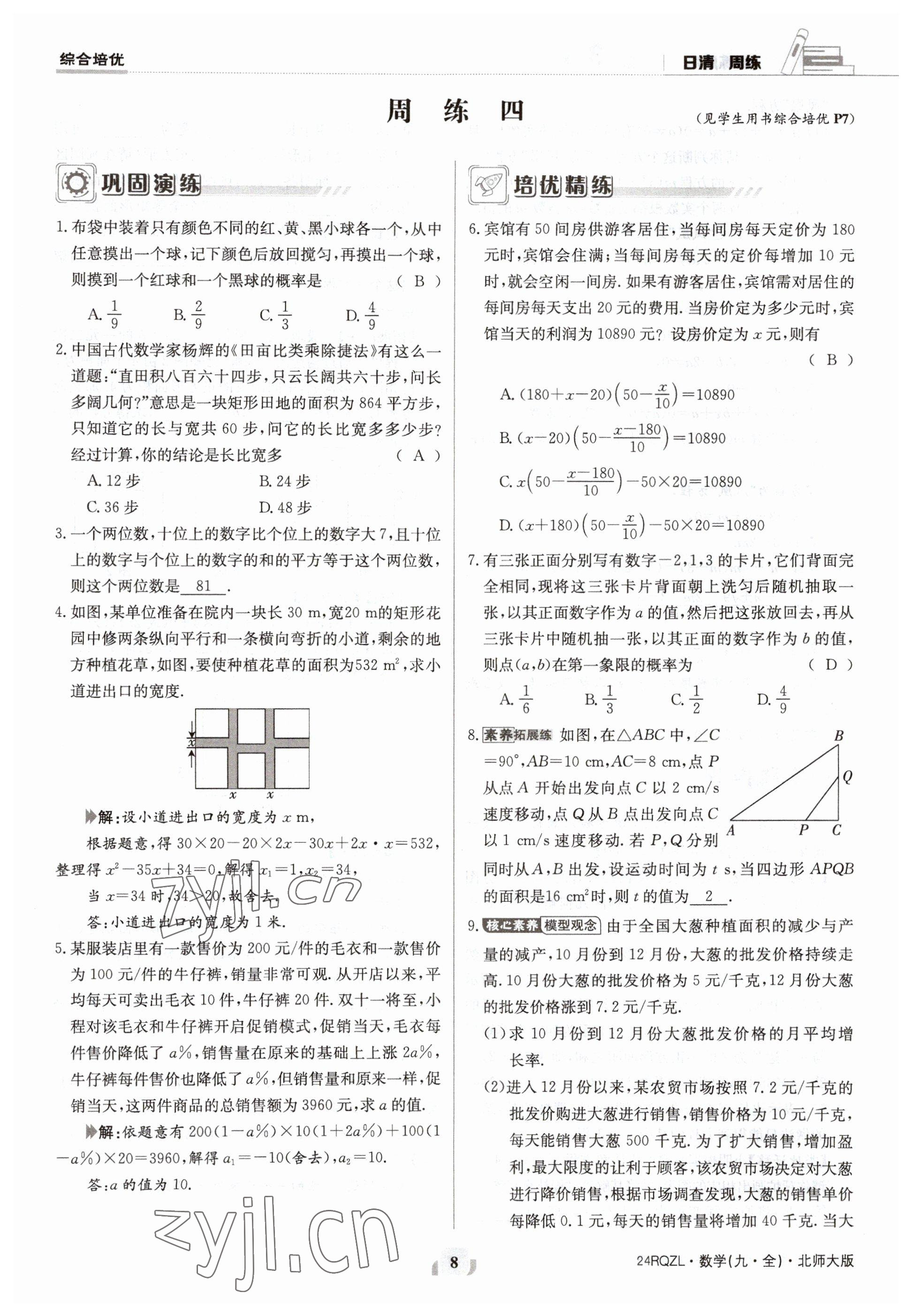 2023年日清周練九年級(jí)數(shù)學(xué)北師大版 參考答案第8頁(yè)