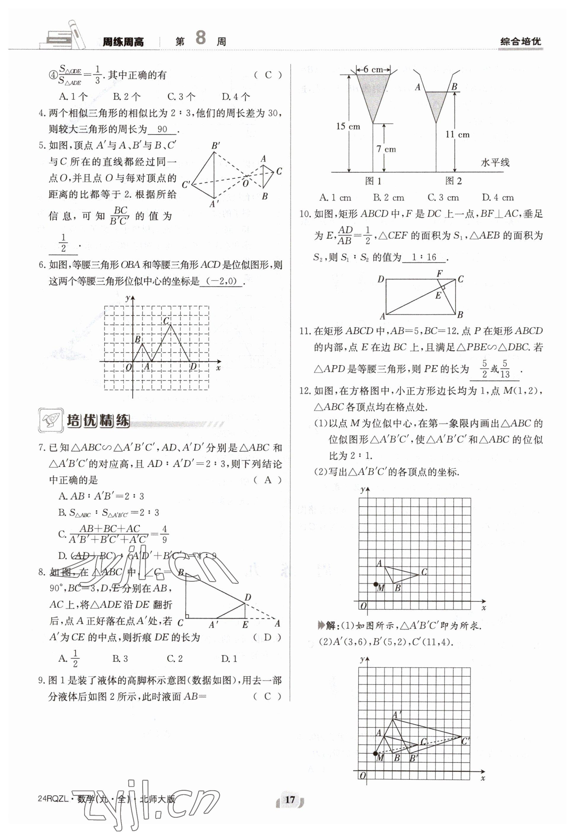 2023年日清周練九年級數(shù)學(xué)北師大版 參考答案第17頁