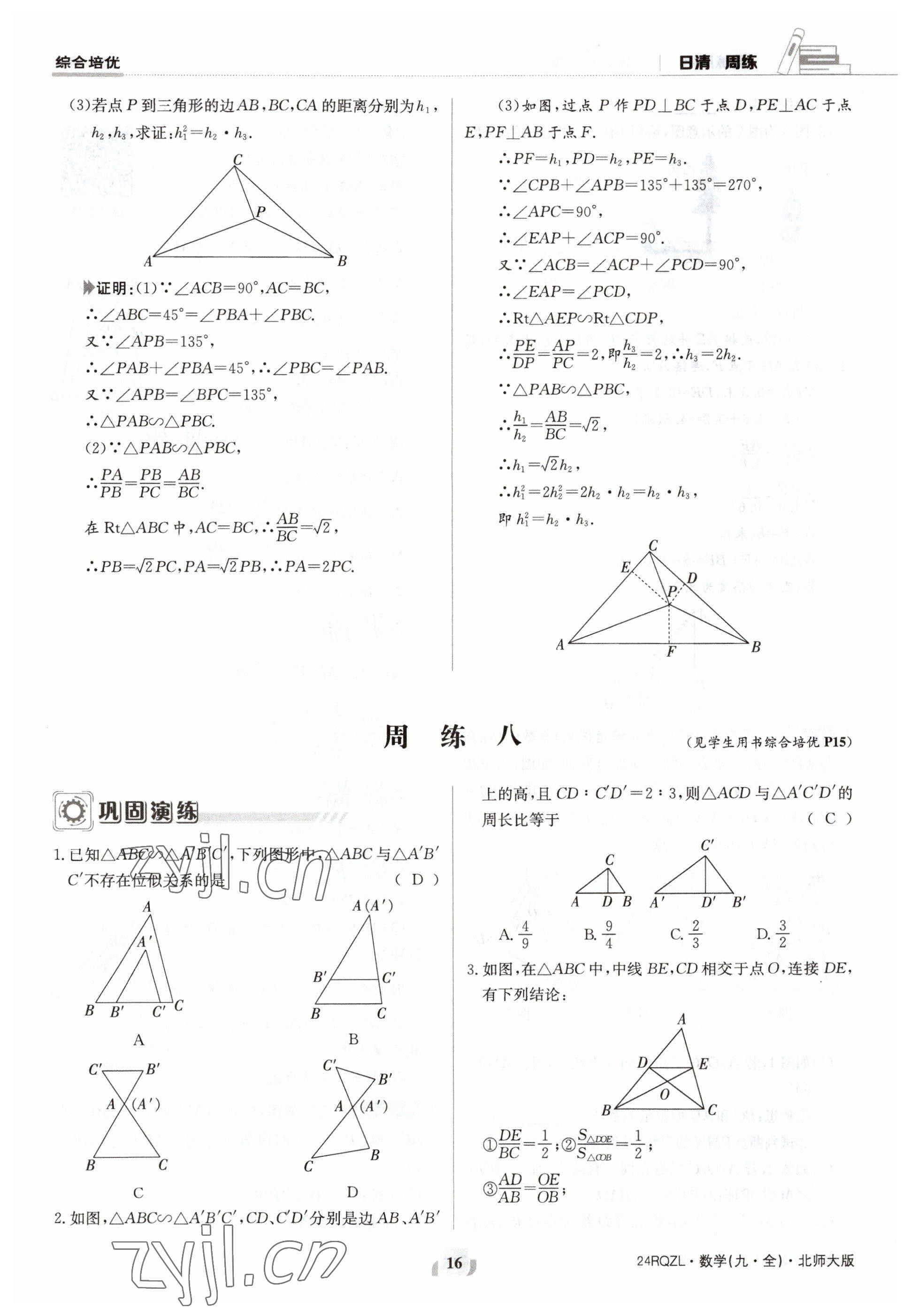 2023年日清周練九年級數(shù)學北師大版 參考答案第16頁