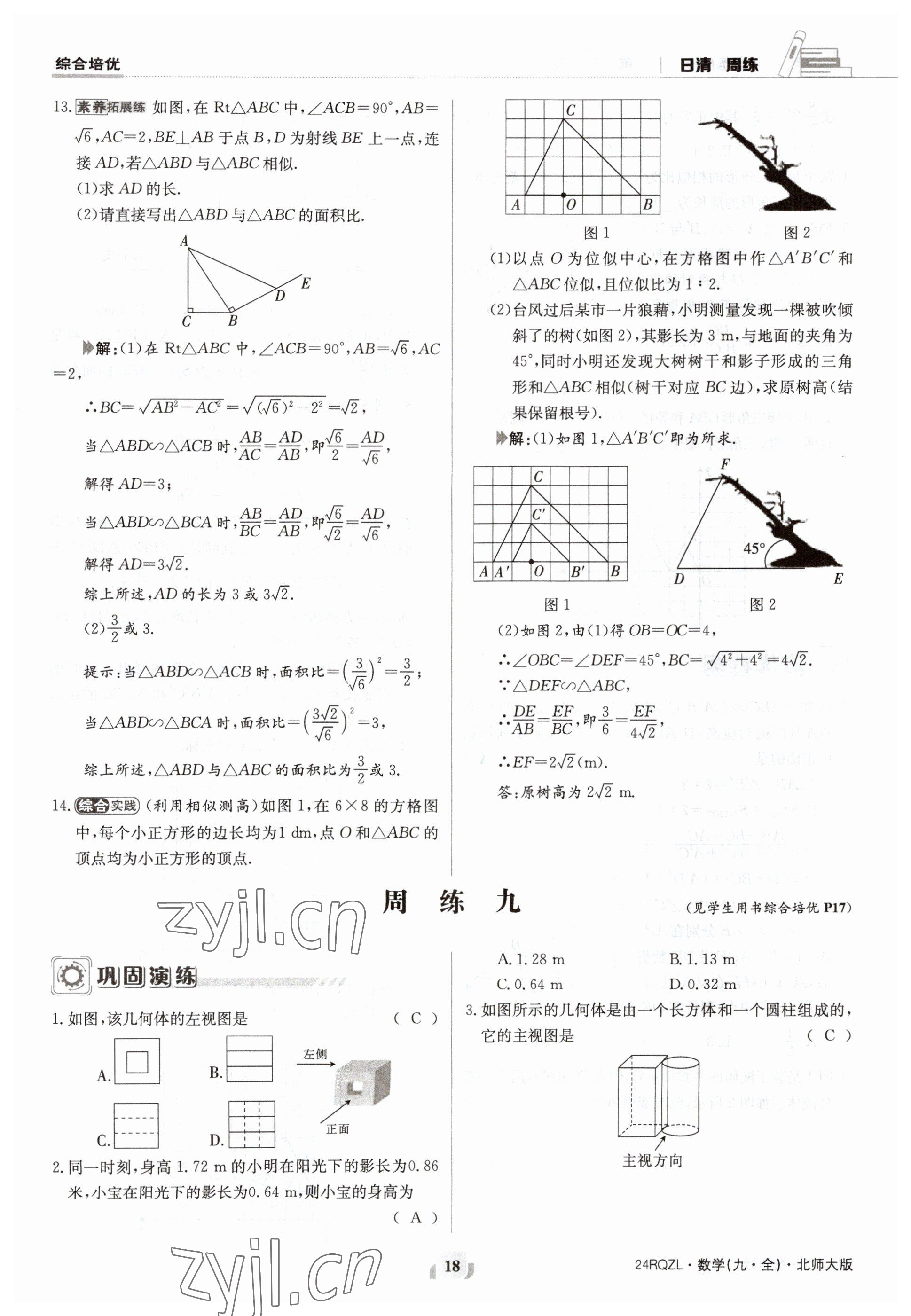 2023年日清周練九年級數(shù)學(xué)北師大版 參考答案第18頁