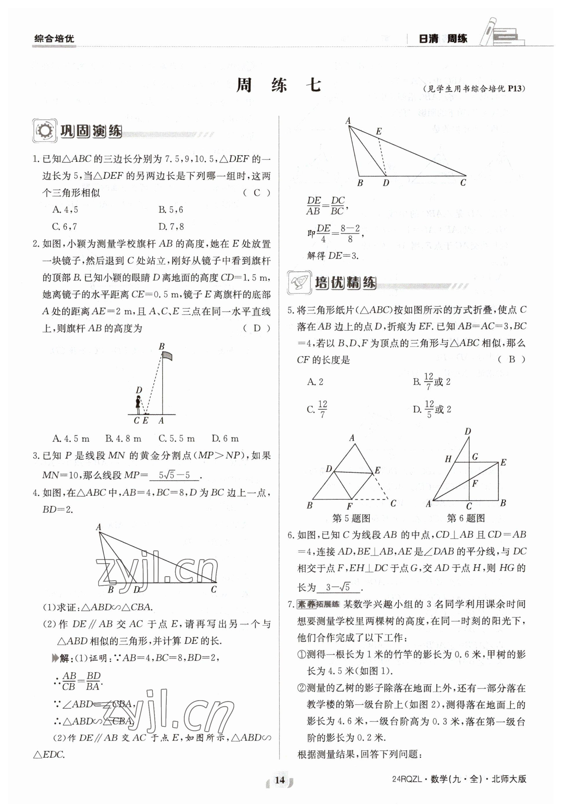 2023年日清周練九年級數(shù)學北師大版 參考答案第14頁