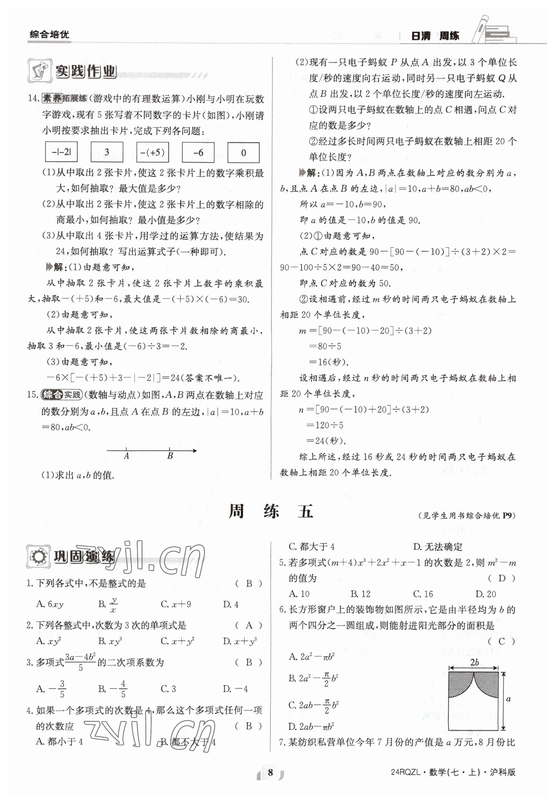 2023年日清周练七年级数学上册沪科版 参考答案第8页