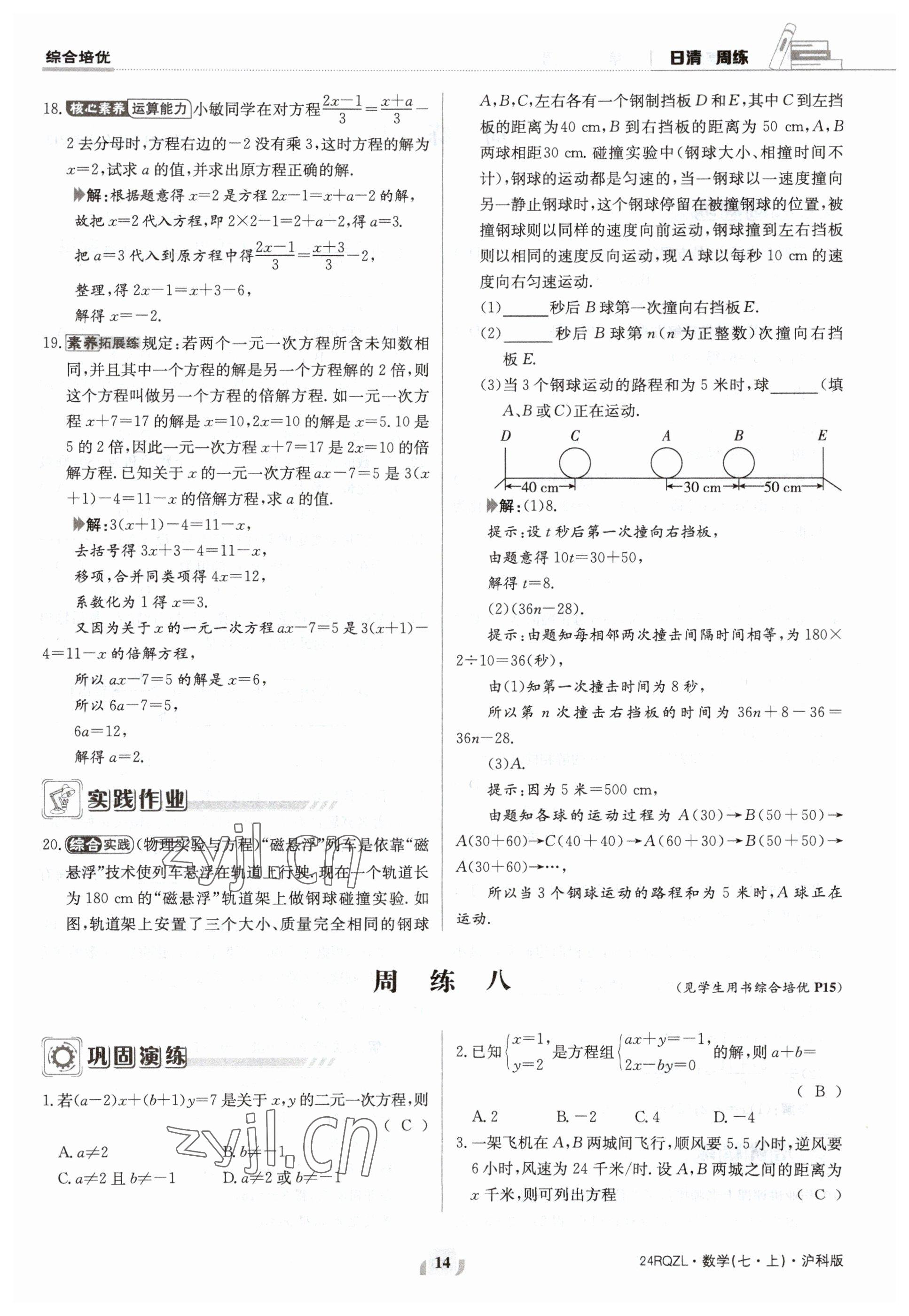 2023年日清周练七年级数学上册沪科版 参考答案第14页