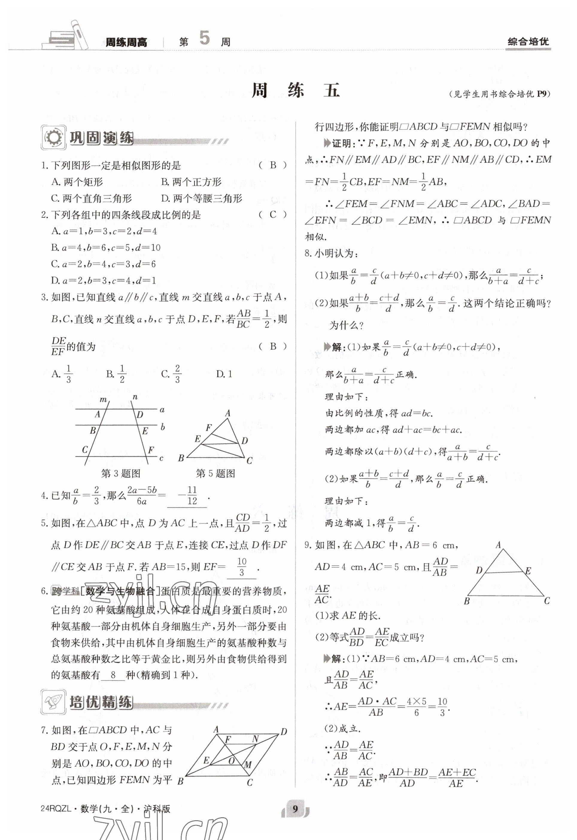 2023年日清周練九年級數(shù)學(xué)全一冊滬科版 參考答案第9頁