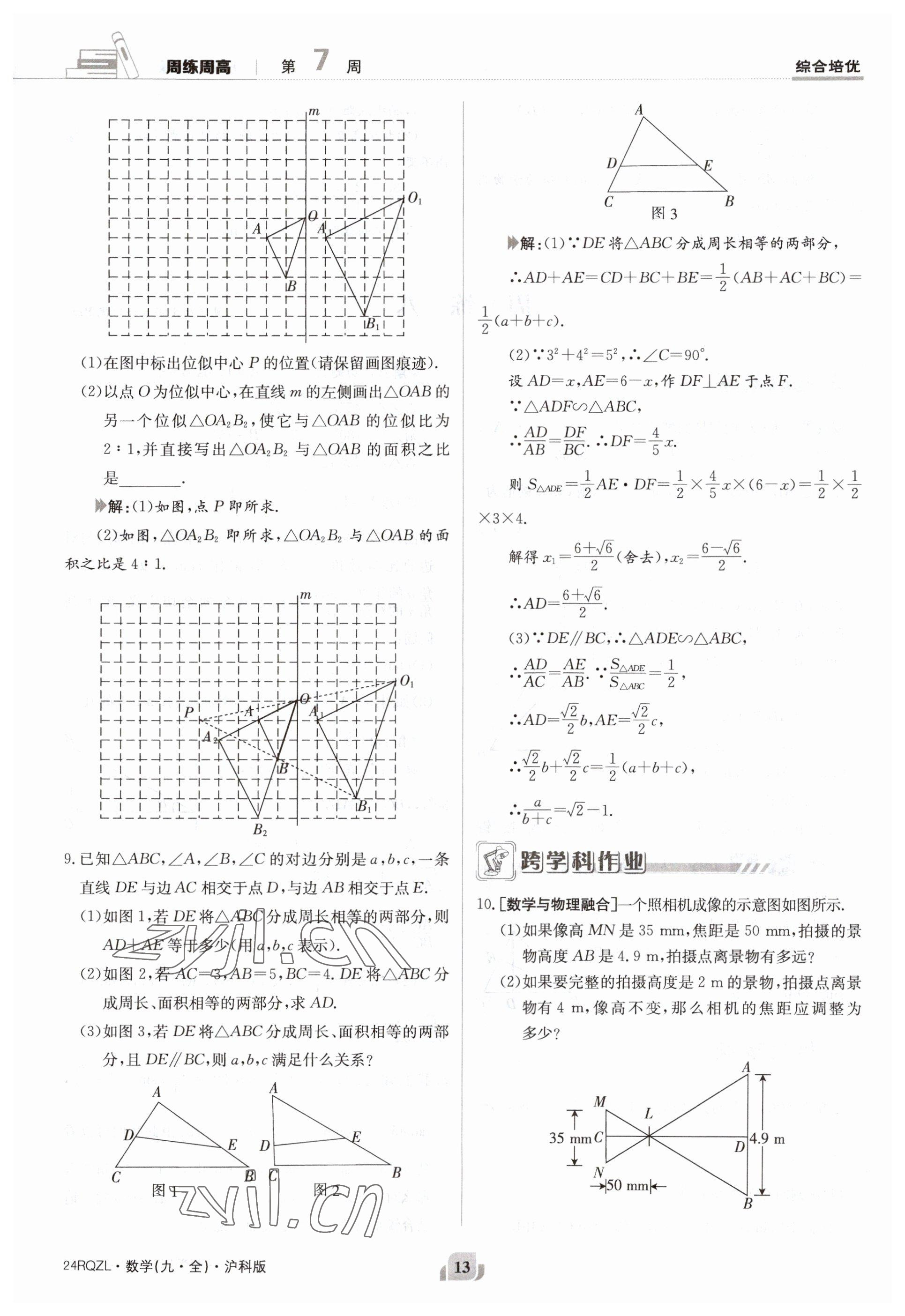 2023年日清周練九年級數(shù)學(xué)全一冊滬科版 參考答案第13頁