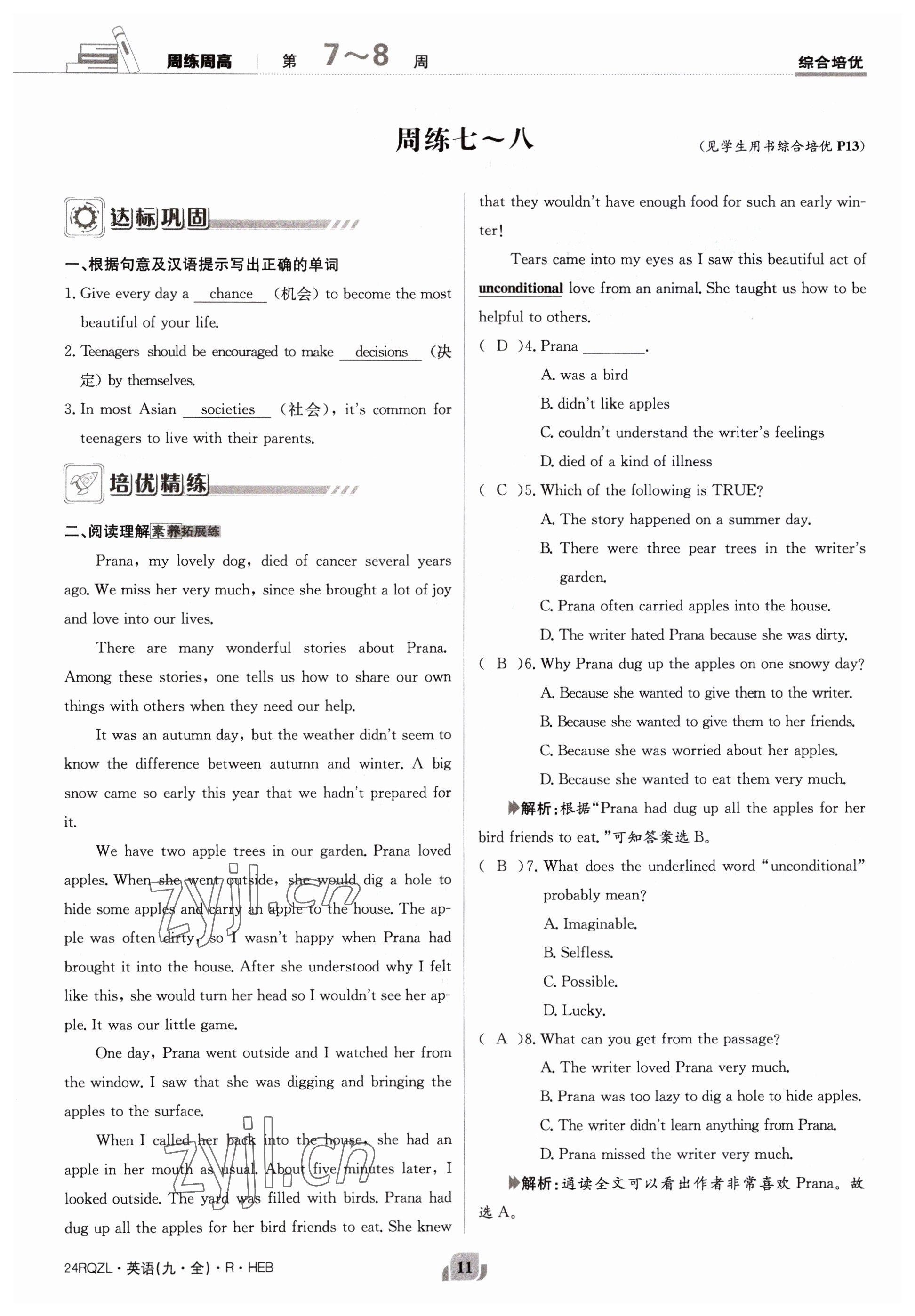 2023年日清周練九年級英語全一冊人教版 參考答案第11頁