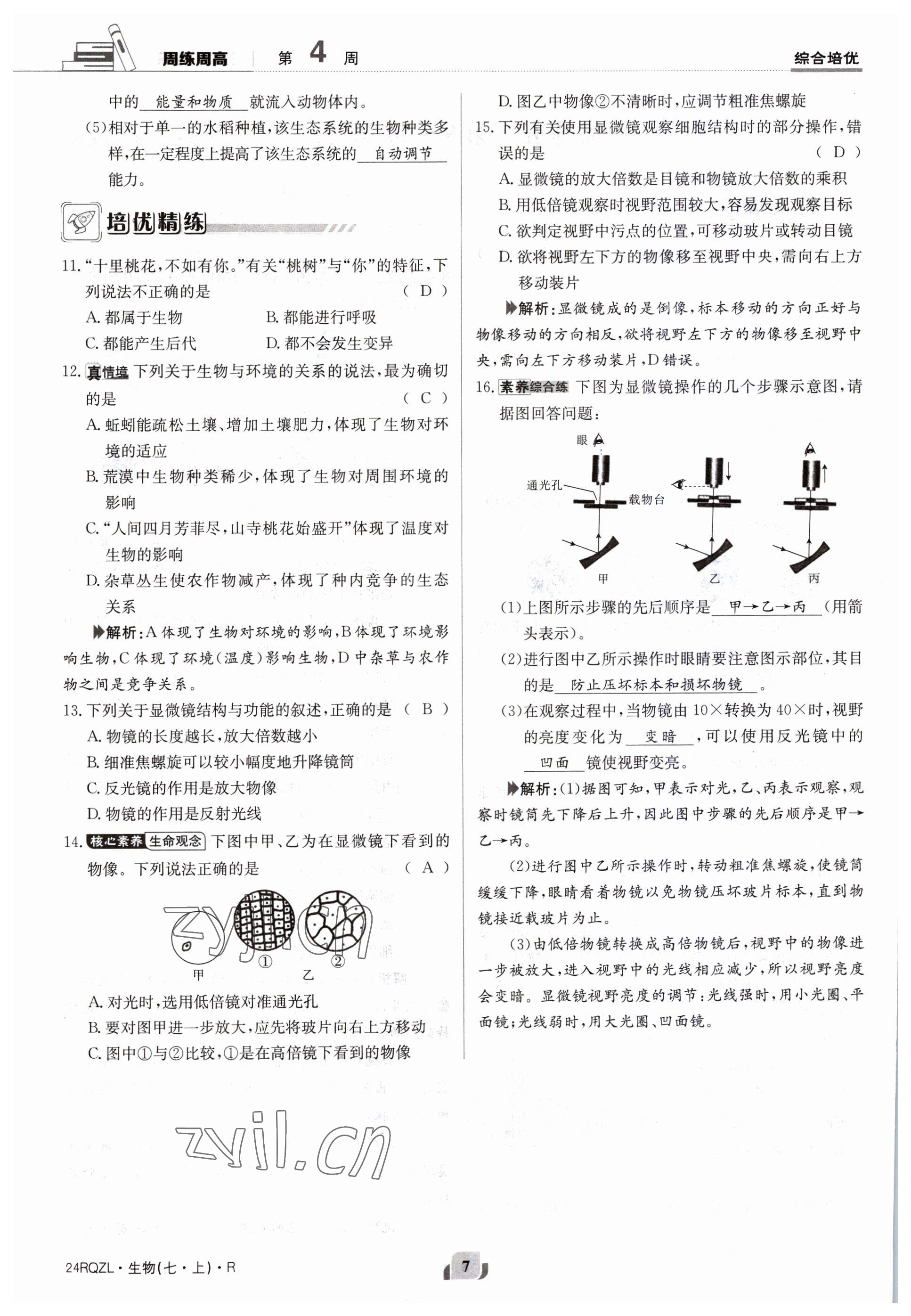 2023年日清周練七年級生物上冊人教版 參考答案第7頁