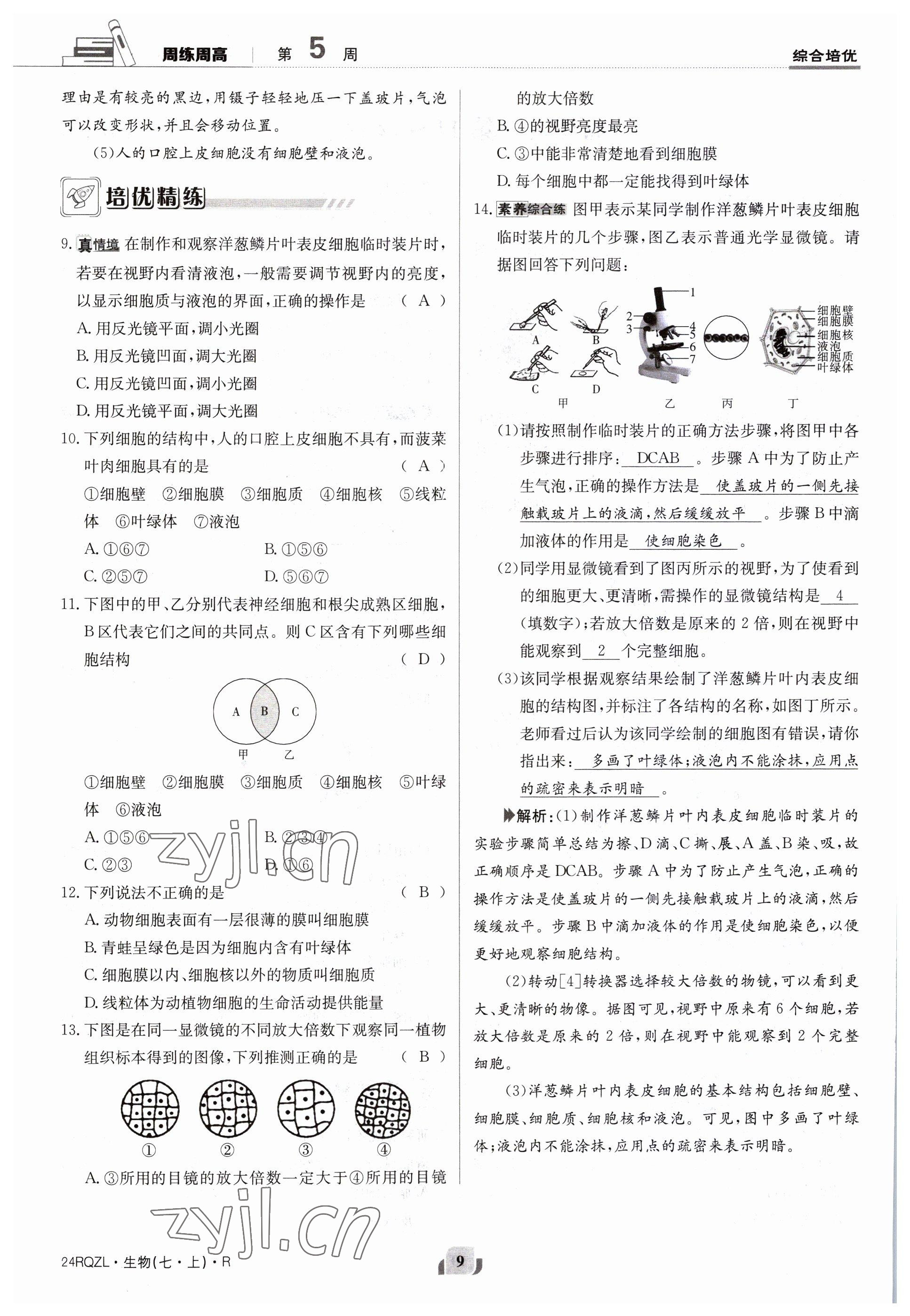 2023年日清周練七年級生物上冊人教版 參考答案第9頁