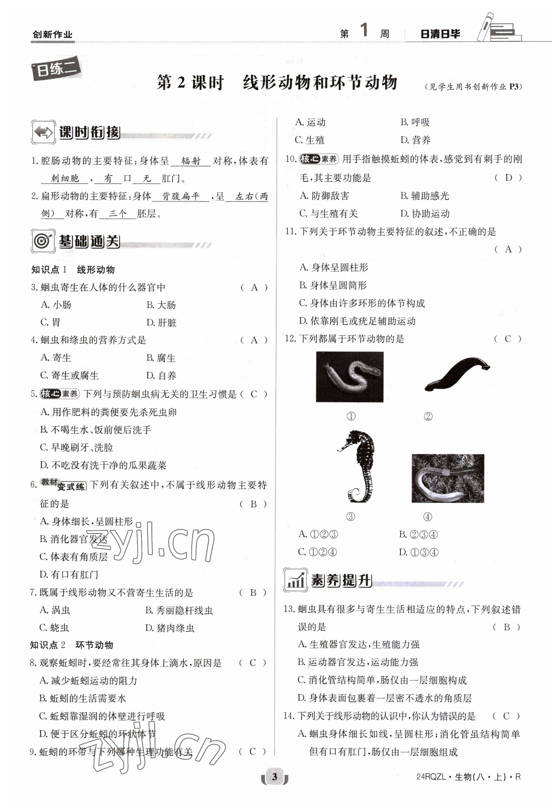 2023年日清周練八年級生物上冊人教版 參考答案第3頁