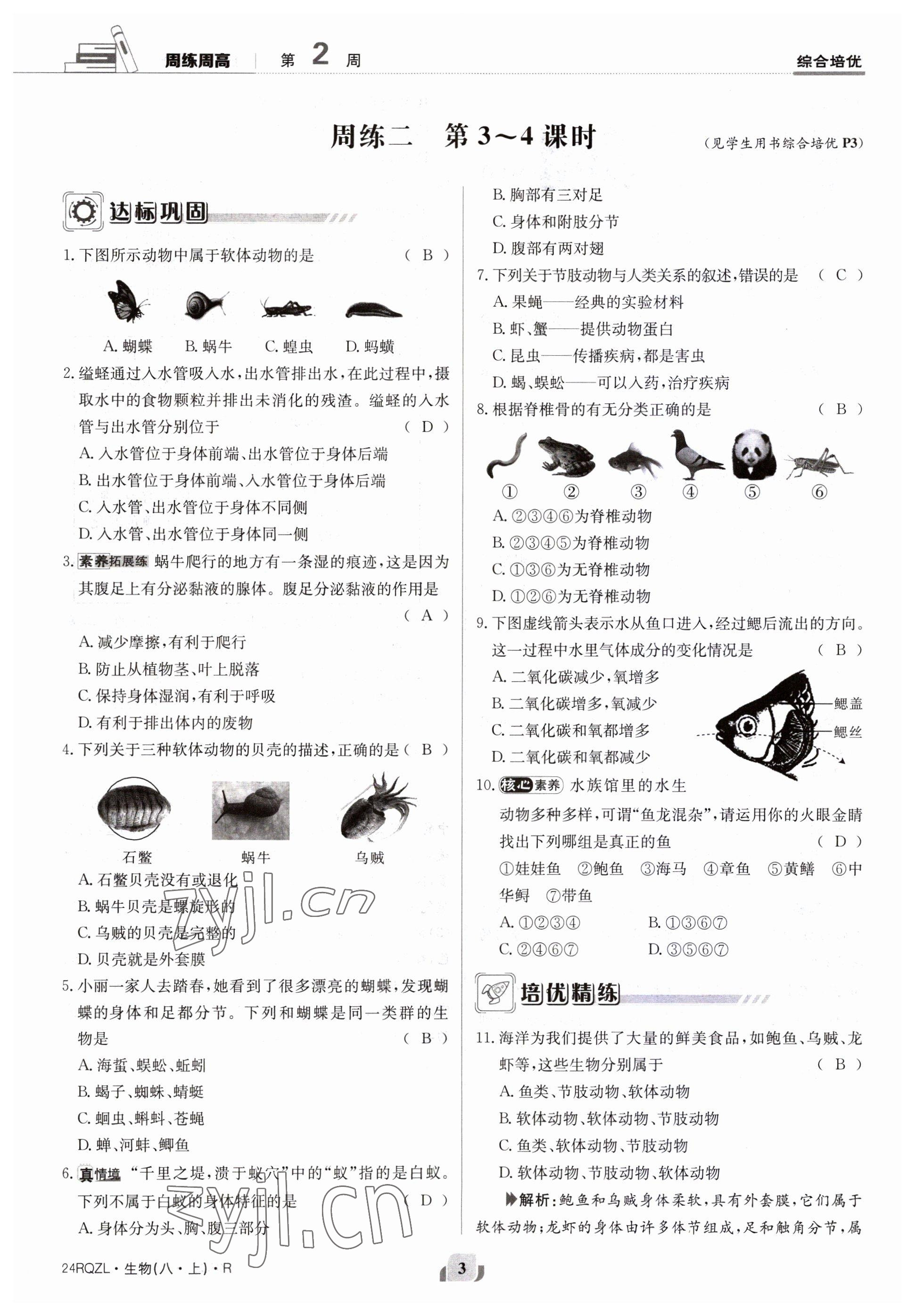 2023年日清周練八年級(jí)生物上冊(cè)人教版 參考答案第3頁(yè)