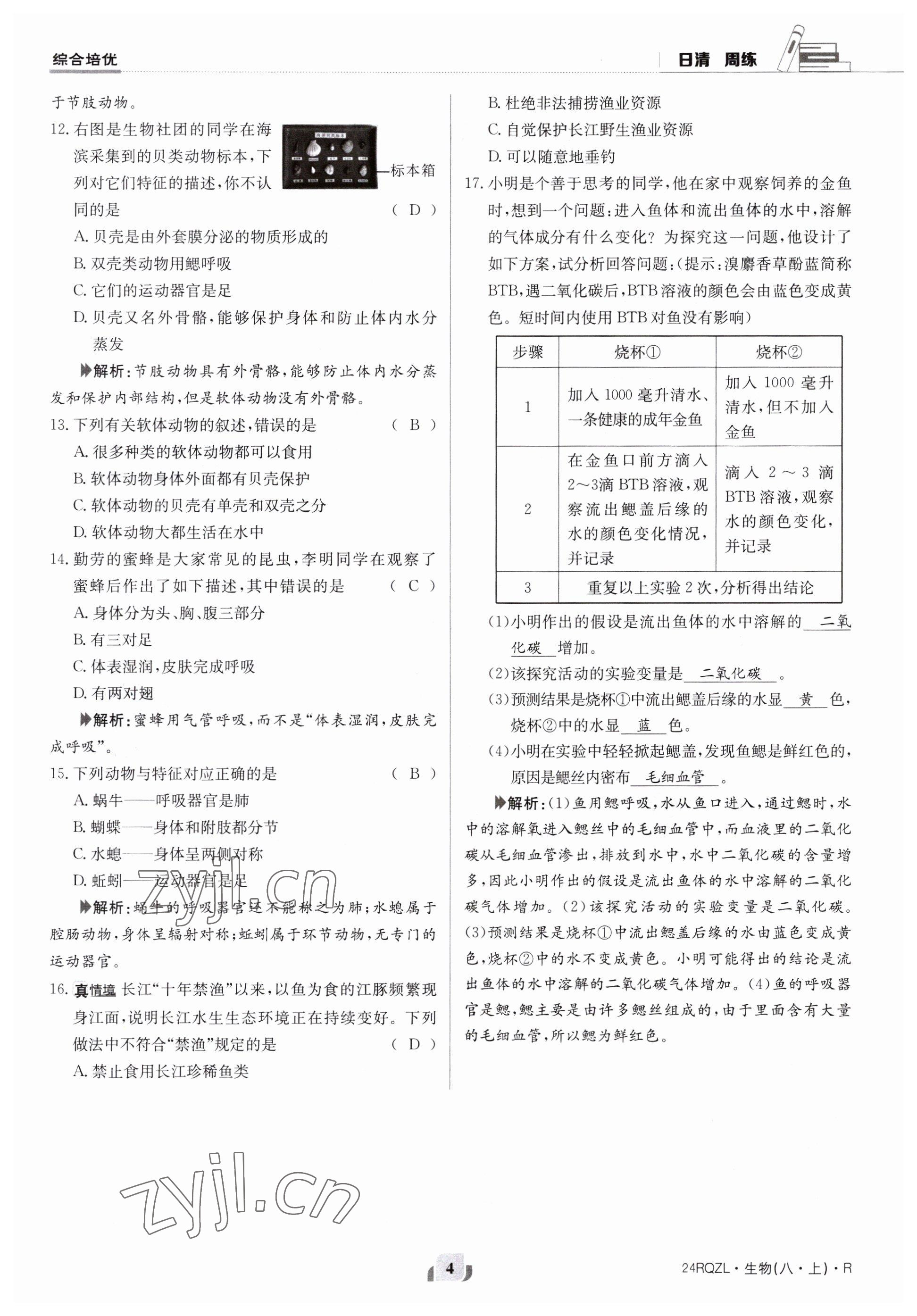 2023年日清周練八年級生物上冊人教版 參考答案第4頁