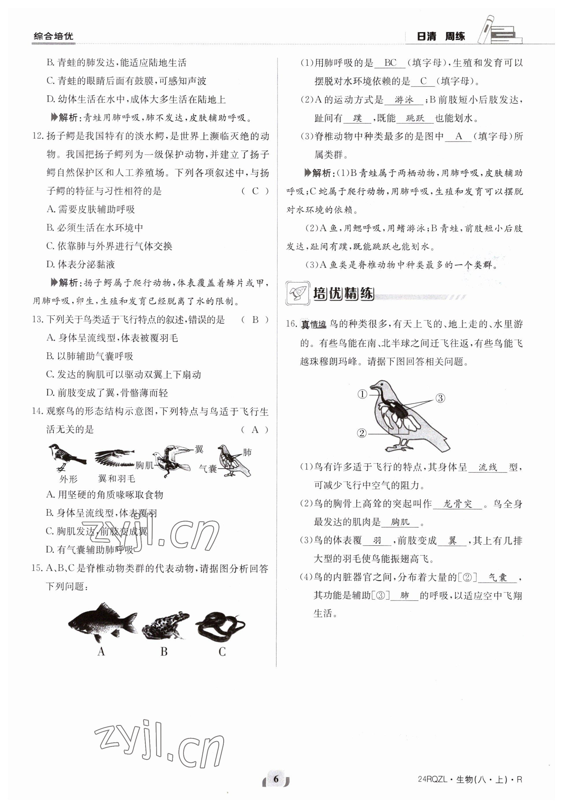 2023年日清周練八年級(jí)生物上冊(cè)人教版 參考答案第6頁(yè)