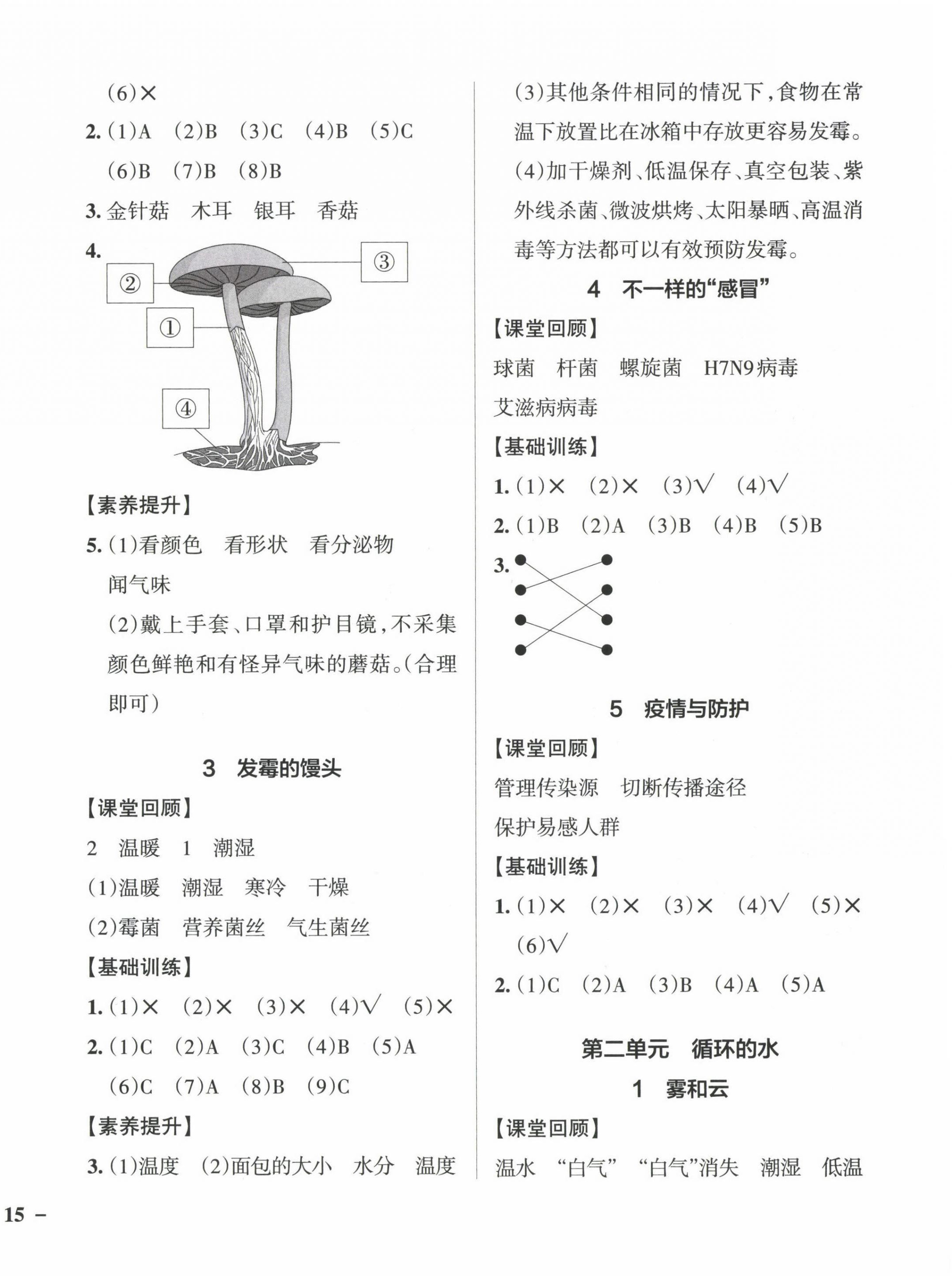 2023年小學(xué)學(xué)霸作業(yè)本六年級(jí)科學(xué)上冊(cè)大象版河南專版 參考答案第2頁