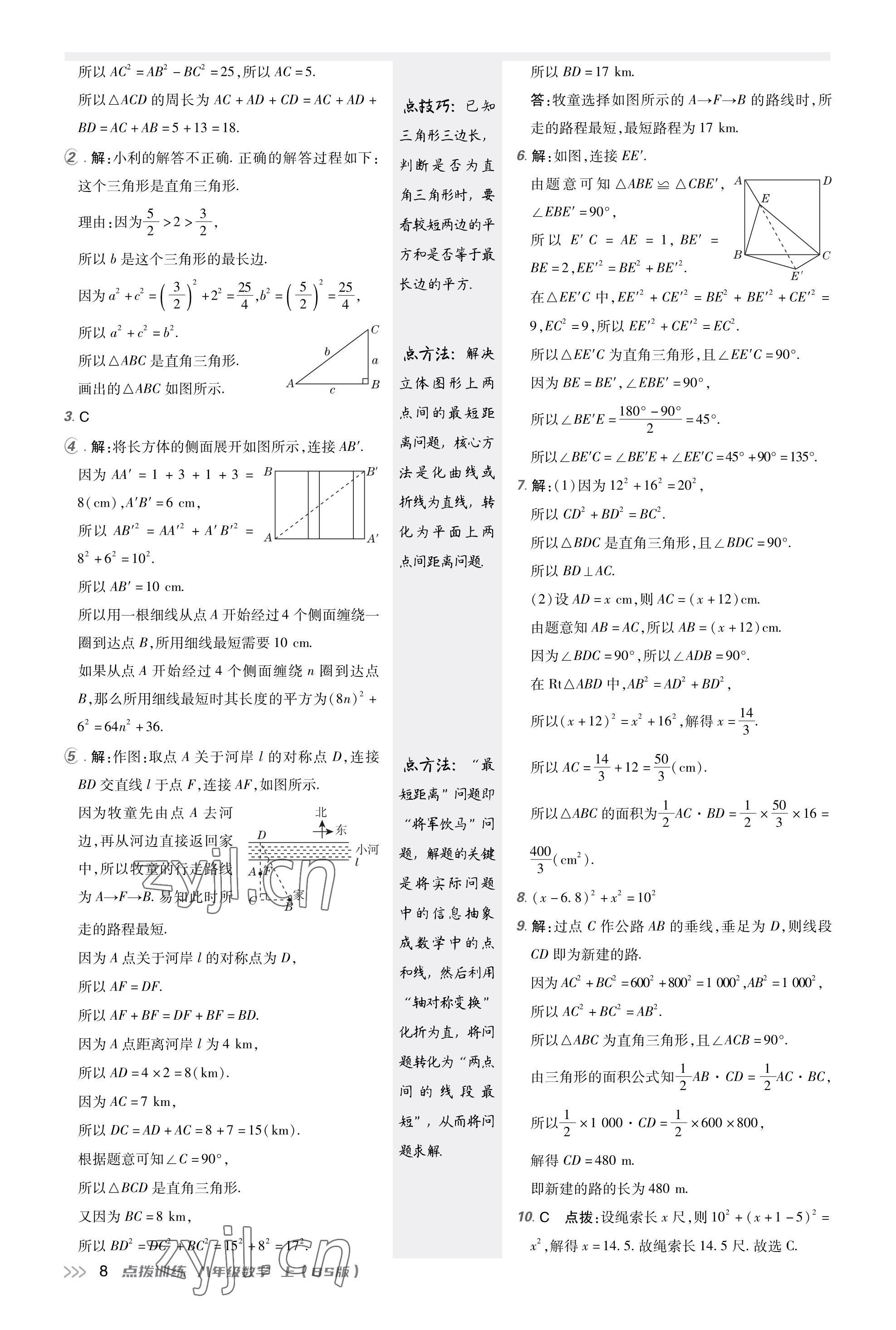 2023年點(diǎn)撥訓(xùn)練八年級數(shù)學(xué)上冊北師大版福建專版 參考答案第7頁