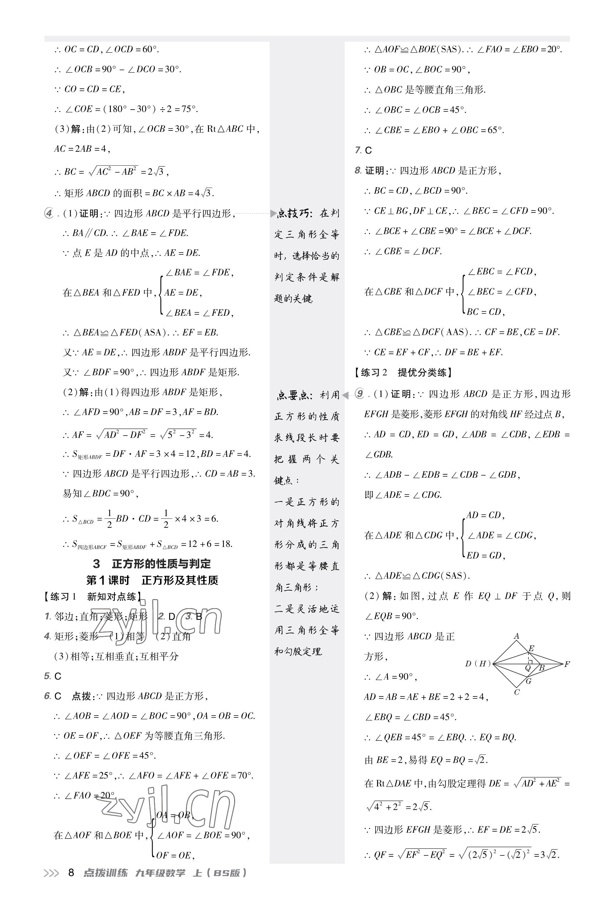 2023年點撥訓練九年級數(shù)學上冊北師大版福建專版 參考答案第7頁