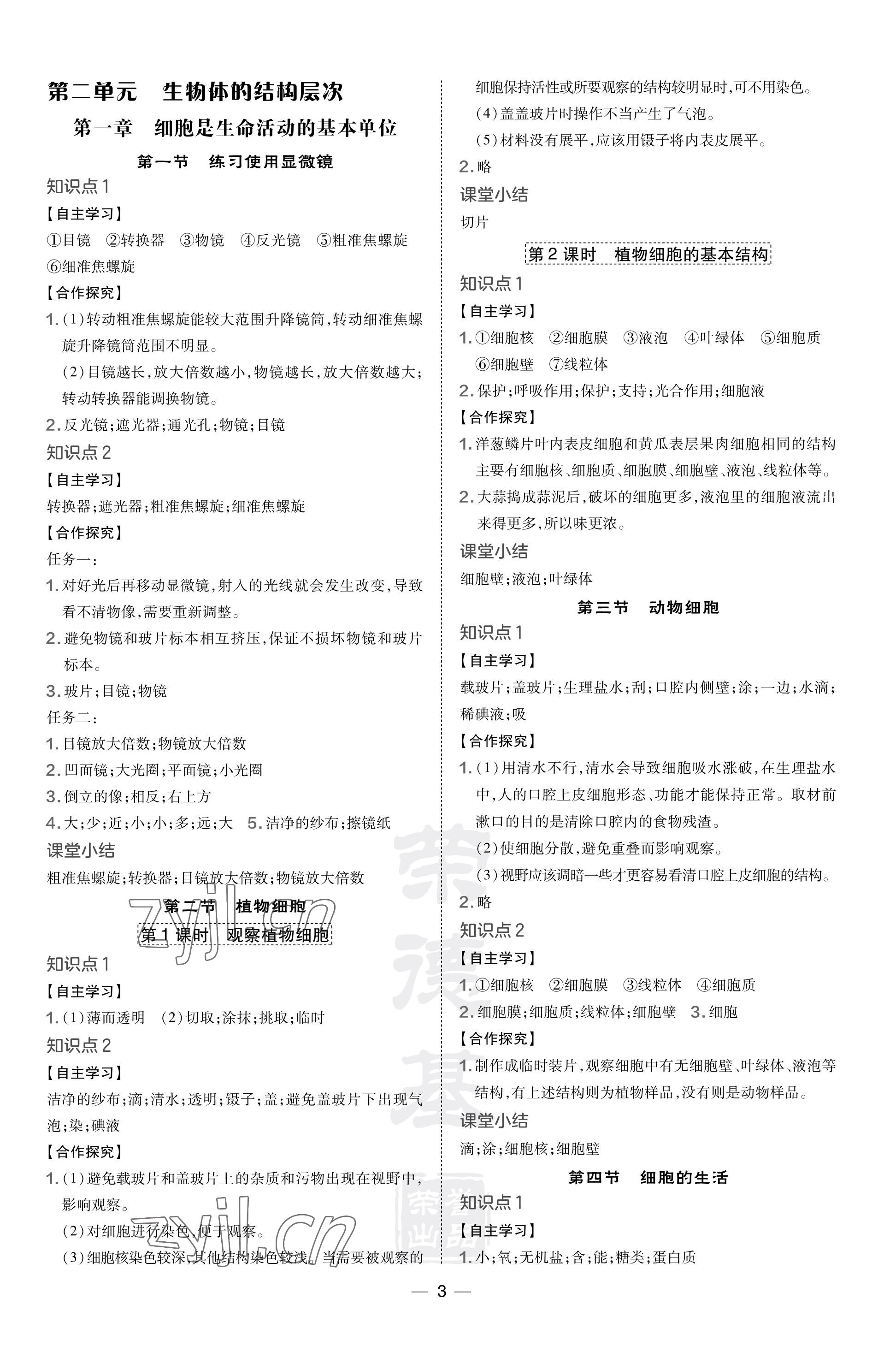 2023年點(diǎn)撥訓(xùn)練七年級生物上冊人教版福建專版 參考答案第3頁