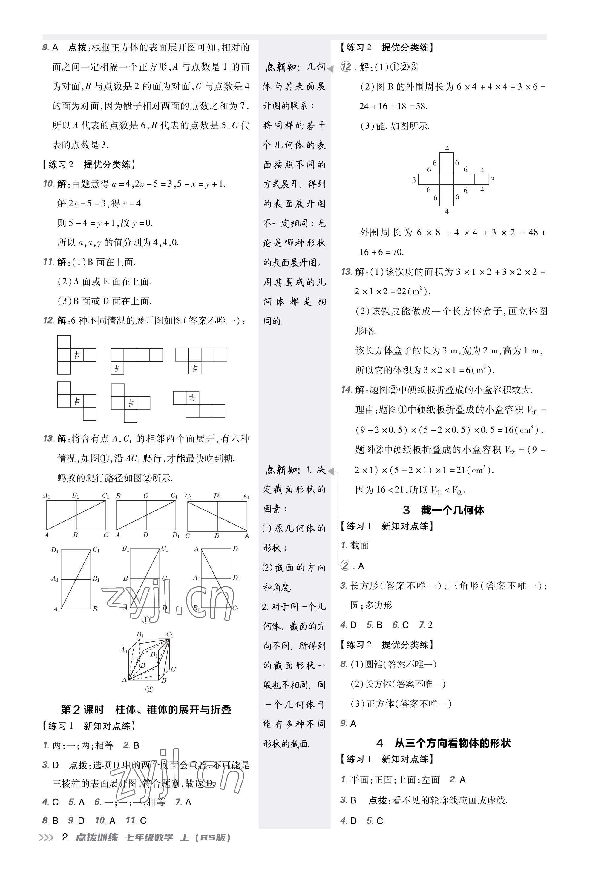 2023年點(diǎn)撥訓(xùn)練七年級(jí)數(shù)學(xué)上冊(cè)北師大版福建專版 參考答案第2頁