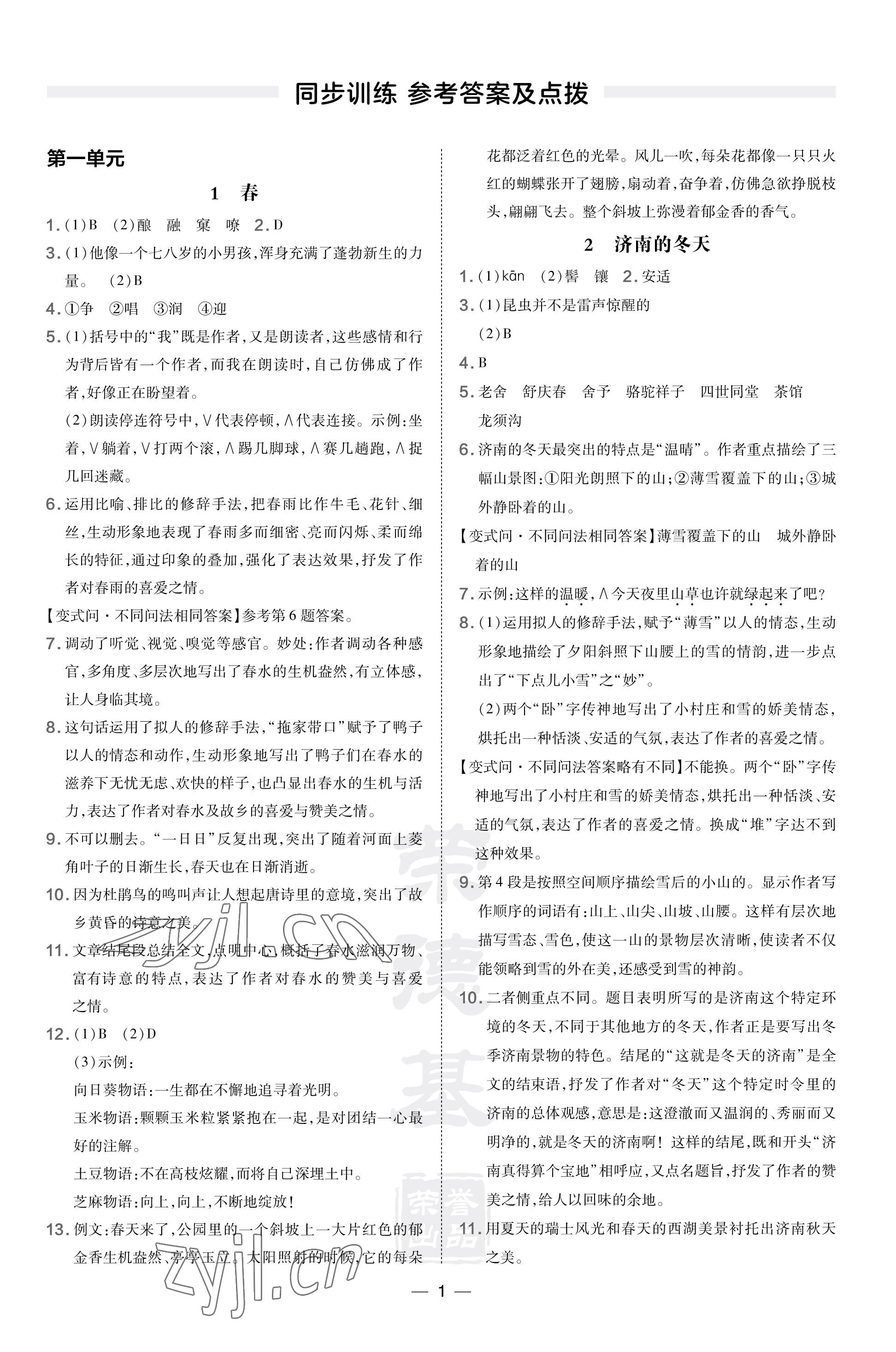 2023年點撥訓(xùn)練七年級語文上冊人教版河南專版 參考答案第1頁