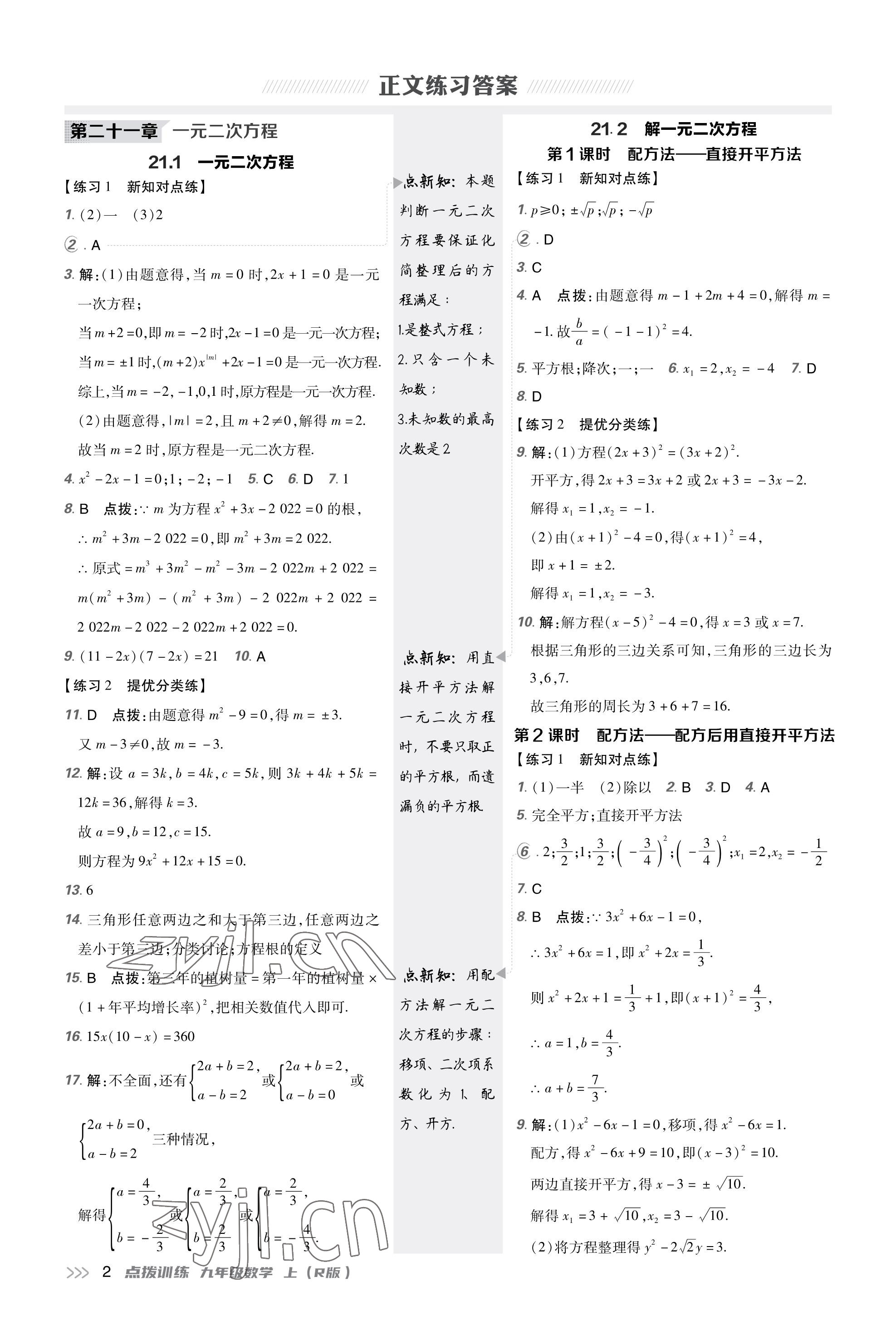 2023年点拨训练九年级数学上册人教版 第1页