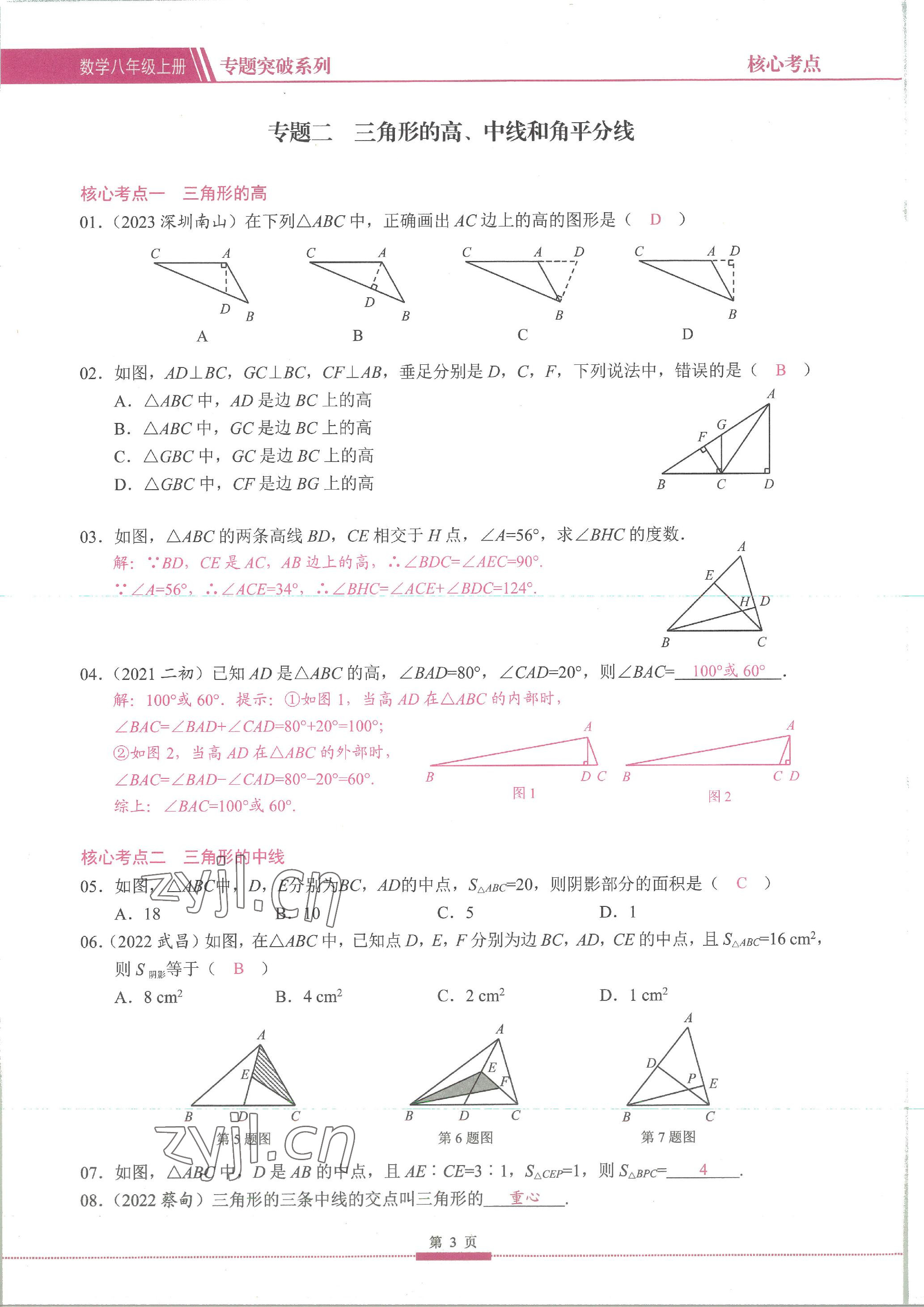 2023年名校學典核心考點延邊大學出版社八年級數學上冊人教版 參考答案第3頁