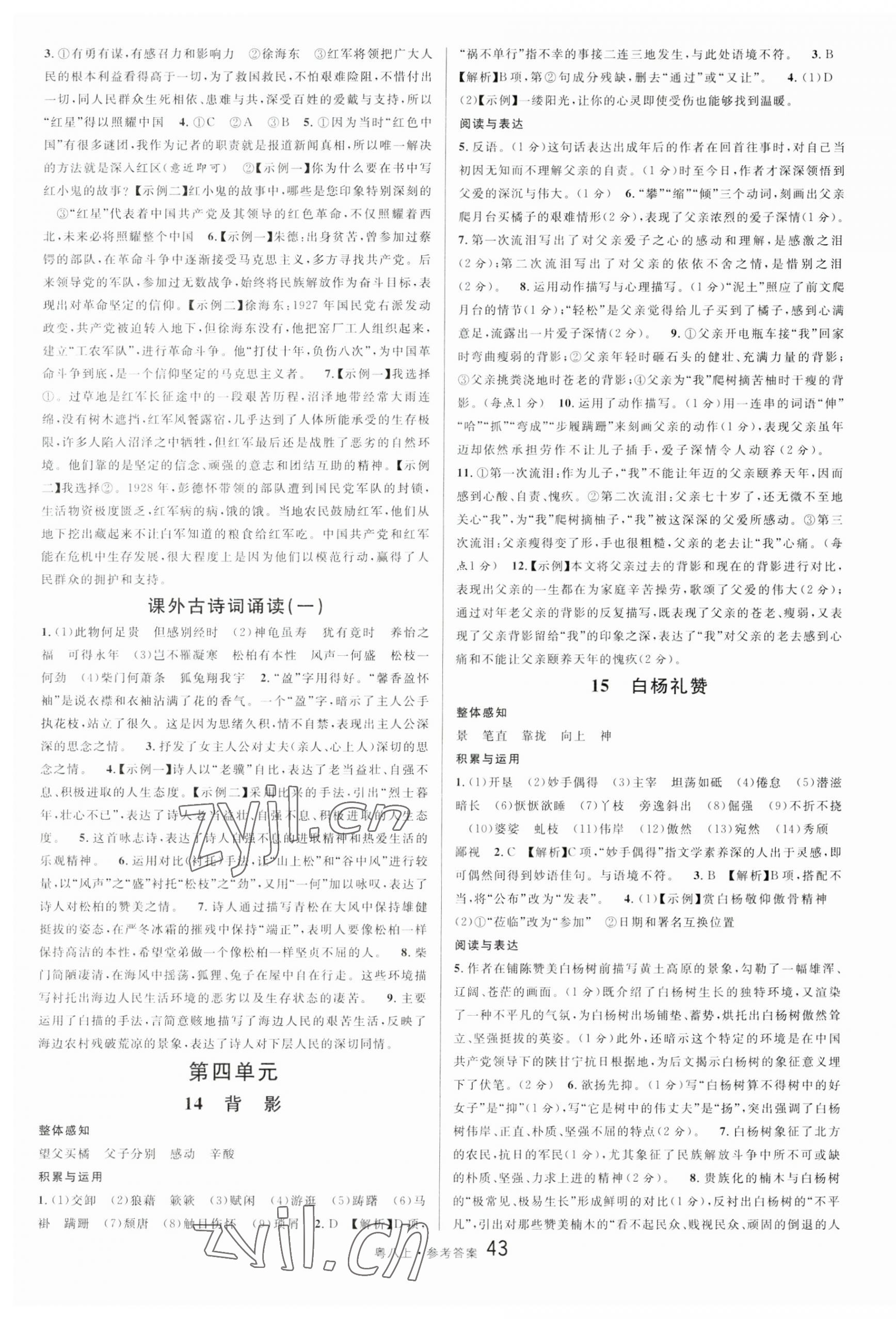 2023年名校課堂八年級(jí)語(yǔ)文2上冊(cè)人教版廣東專版 參考答案第7頁(yè)