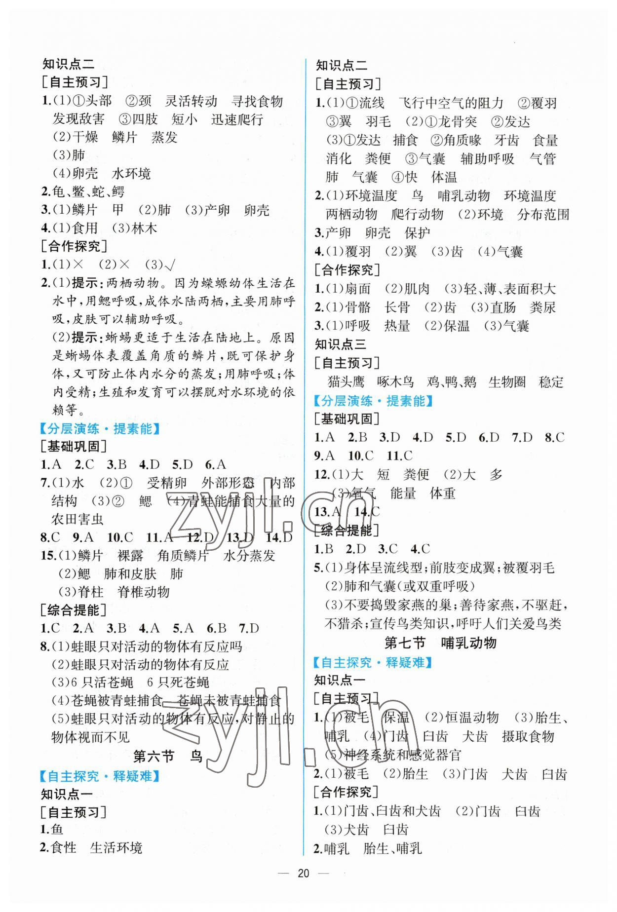 2023年同步導(dǎo)學(xué)案課時練八年級生物上冊人教版 第4頁