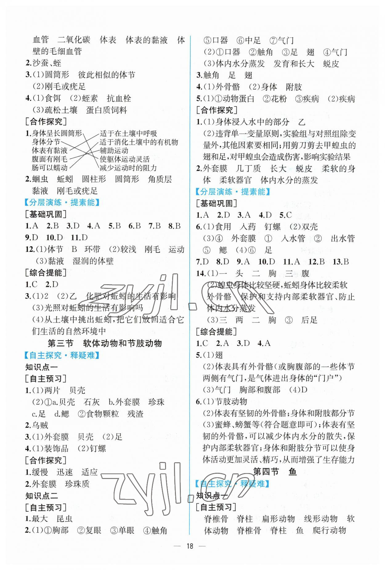 2023年同步導(dǎo)學(xué)案課時練八年級生物上冊人教版 第2頁