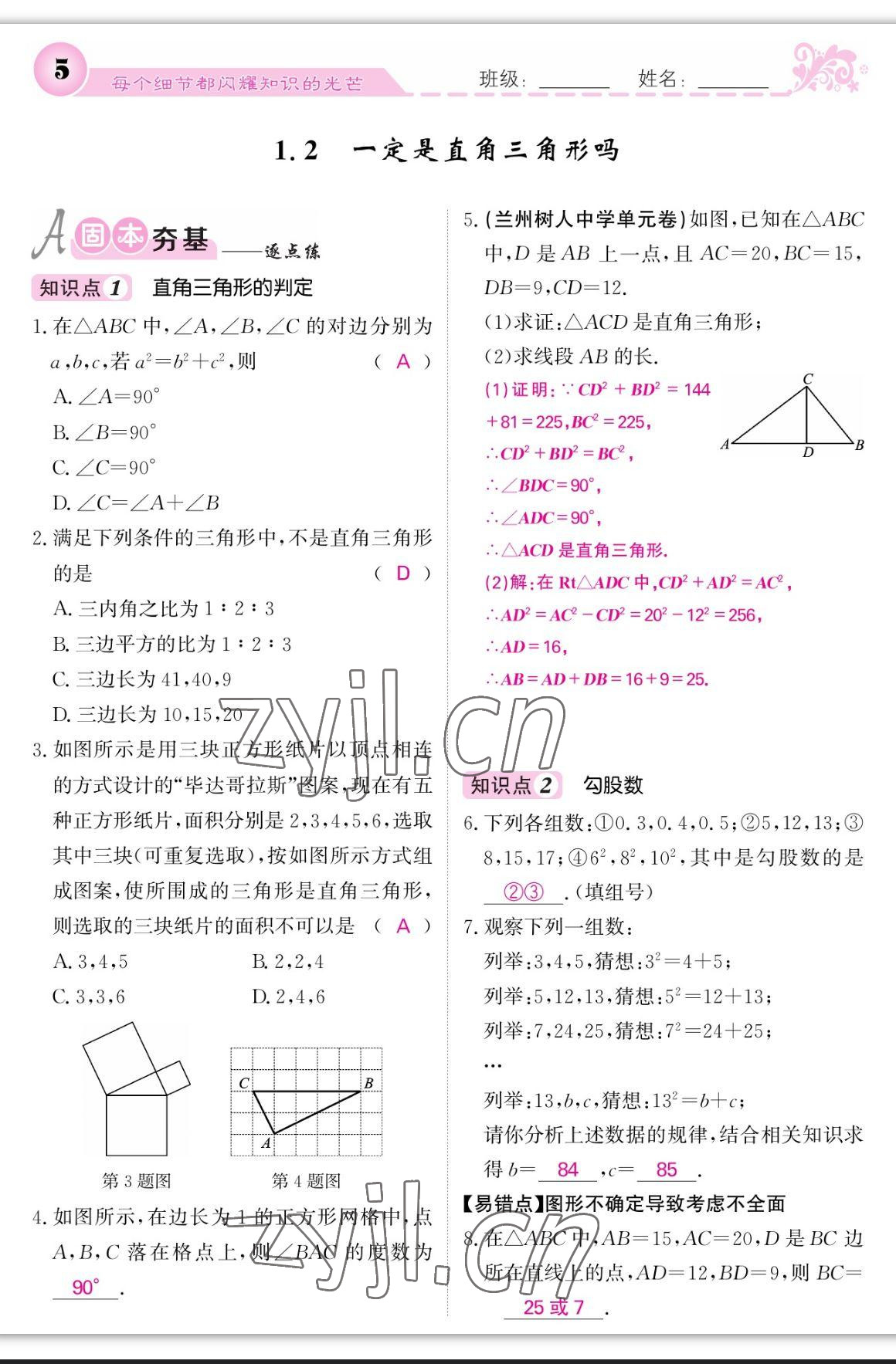 2023年課堂點睛八年級數(shù)學上冊北師大版寧夏專版 第5頁