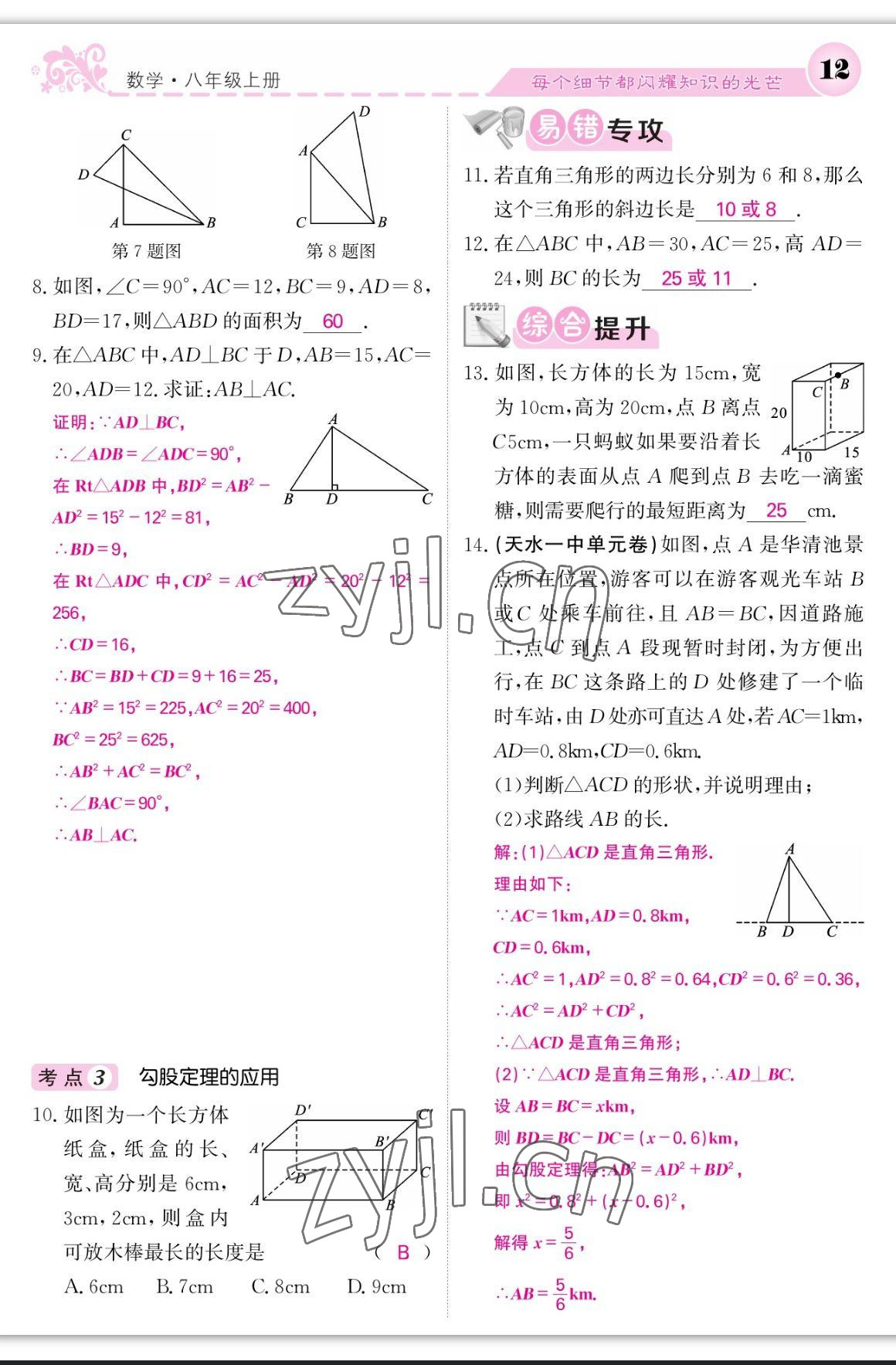 2023年課堂點(diǎn)睛八年級(jí)數(shù)學(xué)上冊(cè)北師大版寧夏專版 第12頁(yè)